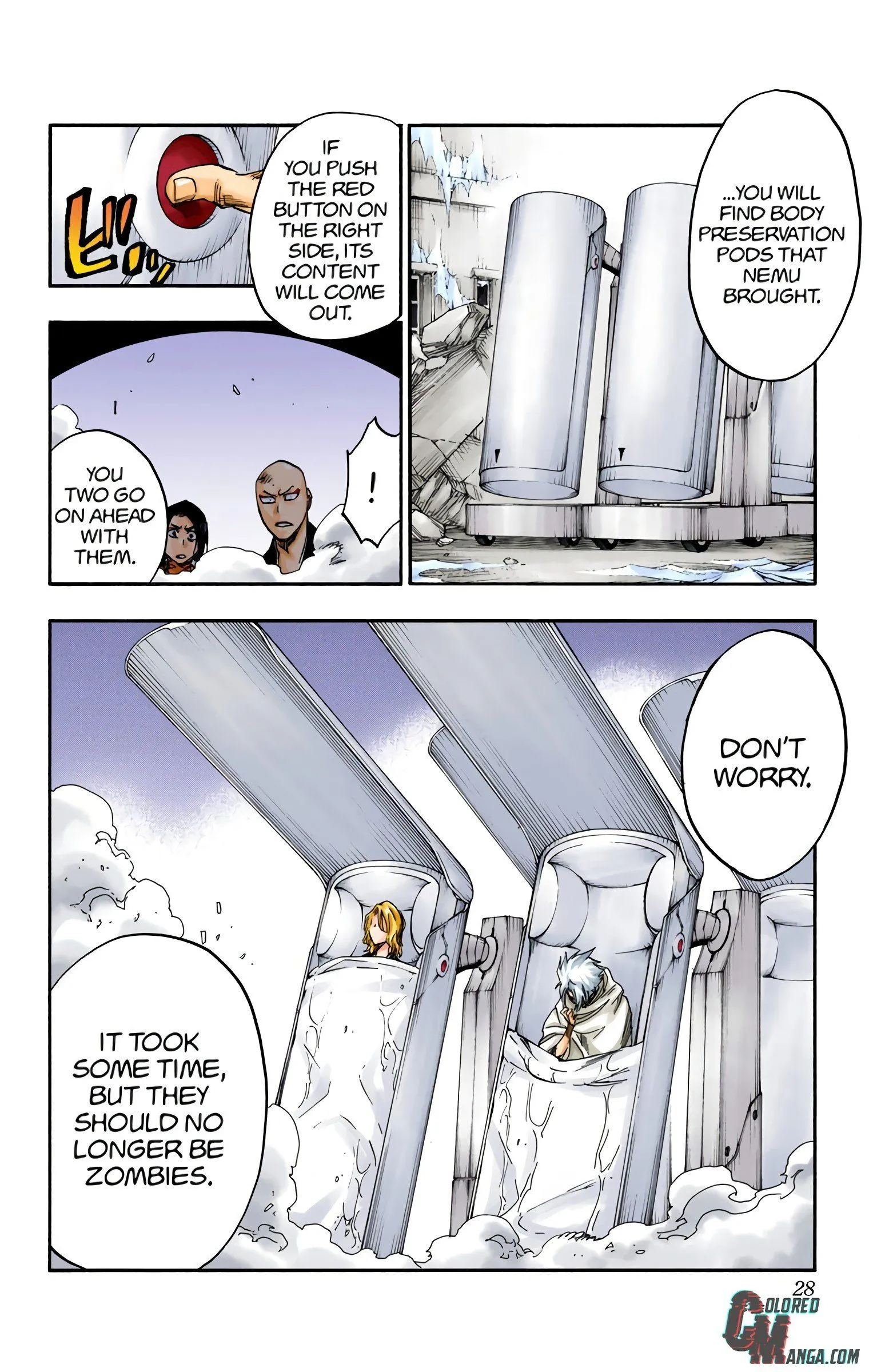 Read Bleach (Colored) EN Manga Online
