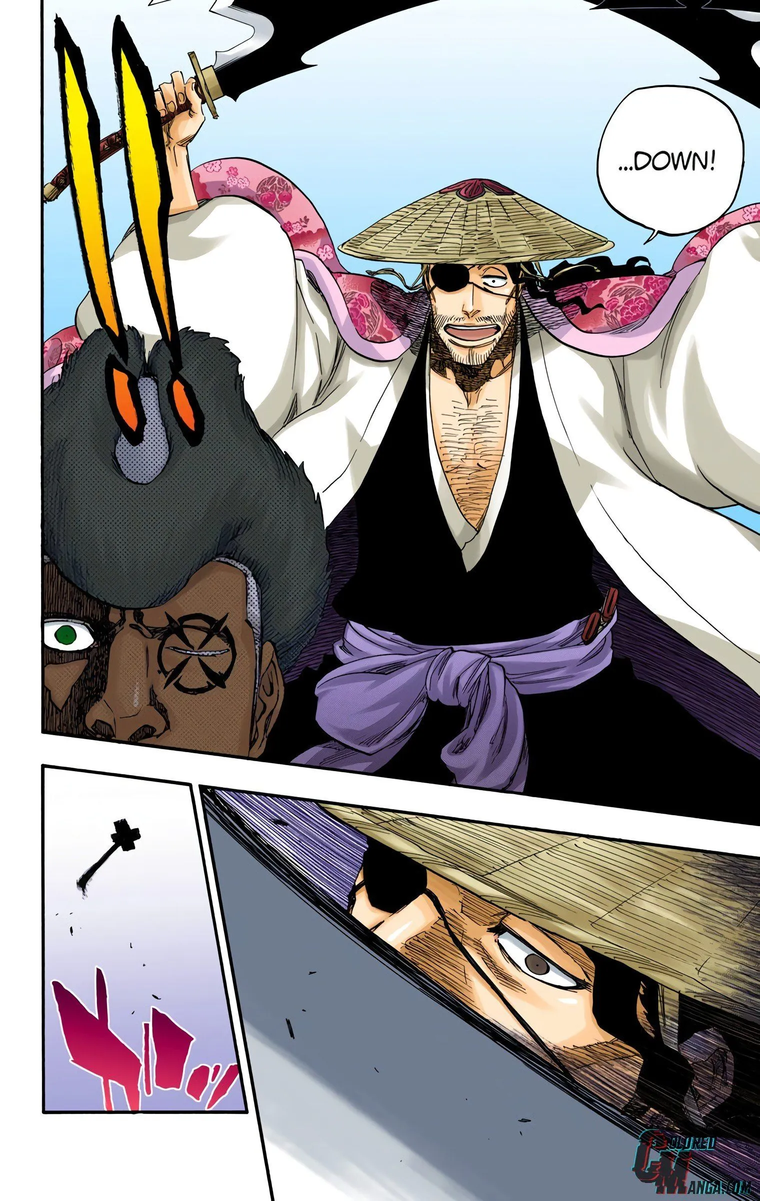 Read Bleach (Colored) EN Manga Online