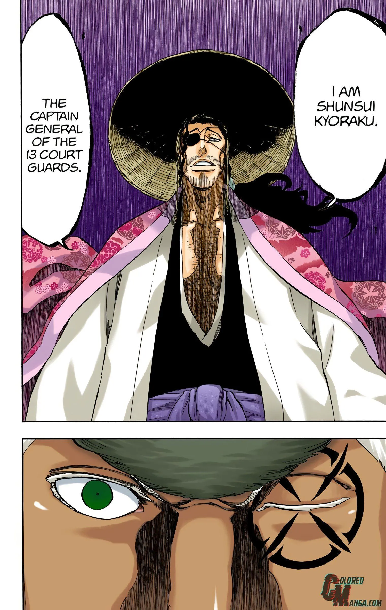 Read Bleach (Colored) EN Manga Online