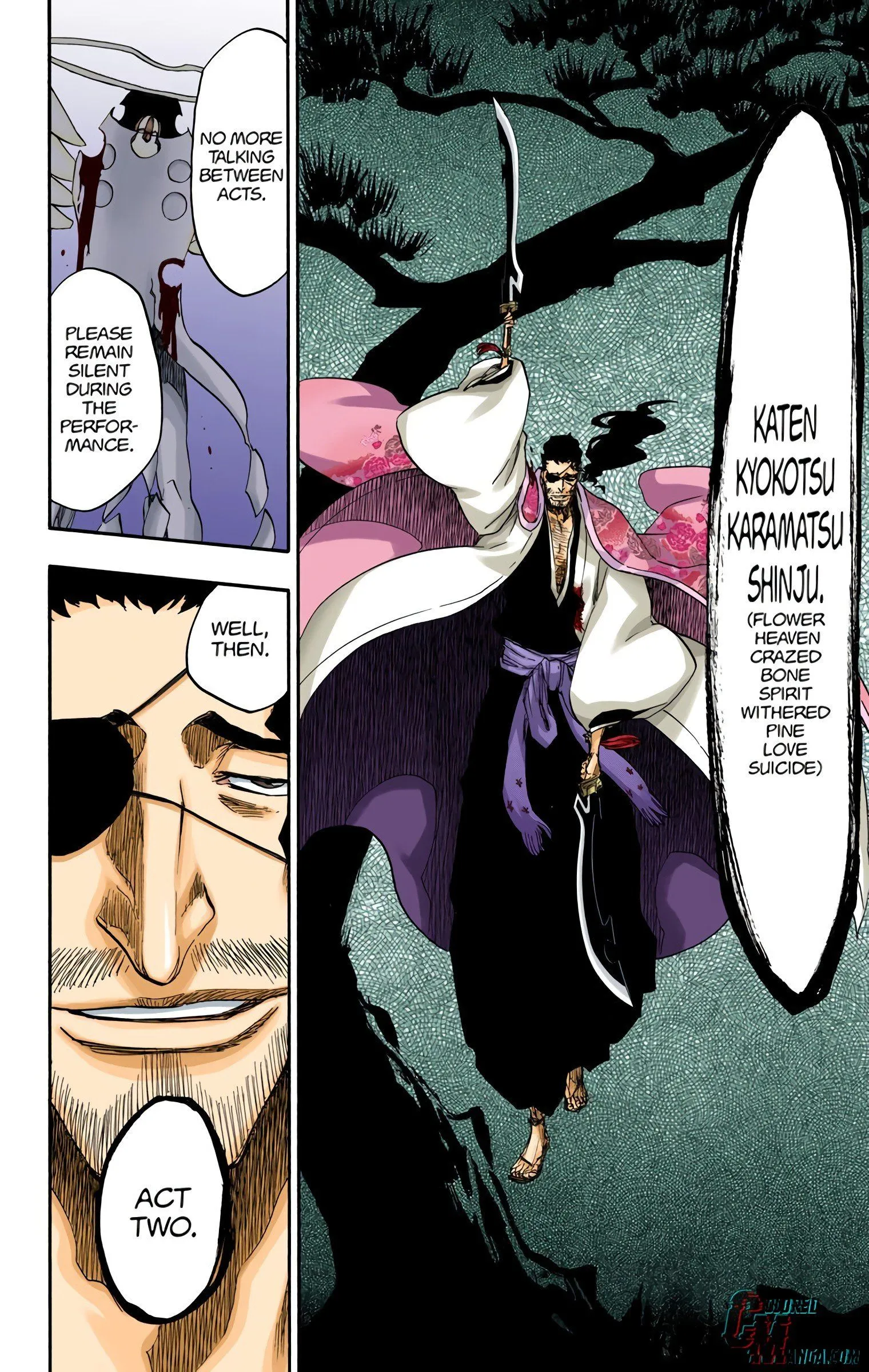 Read Bleach (Colored) EN Manga Online