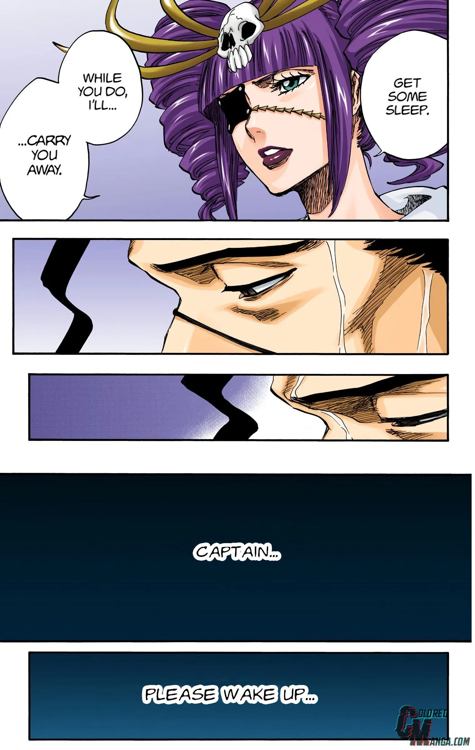 Read Bleach (Colored) EN Manga Online