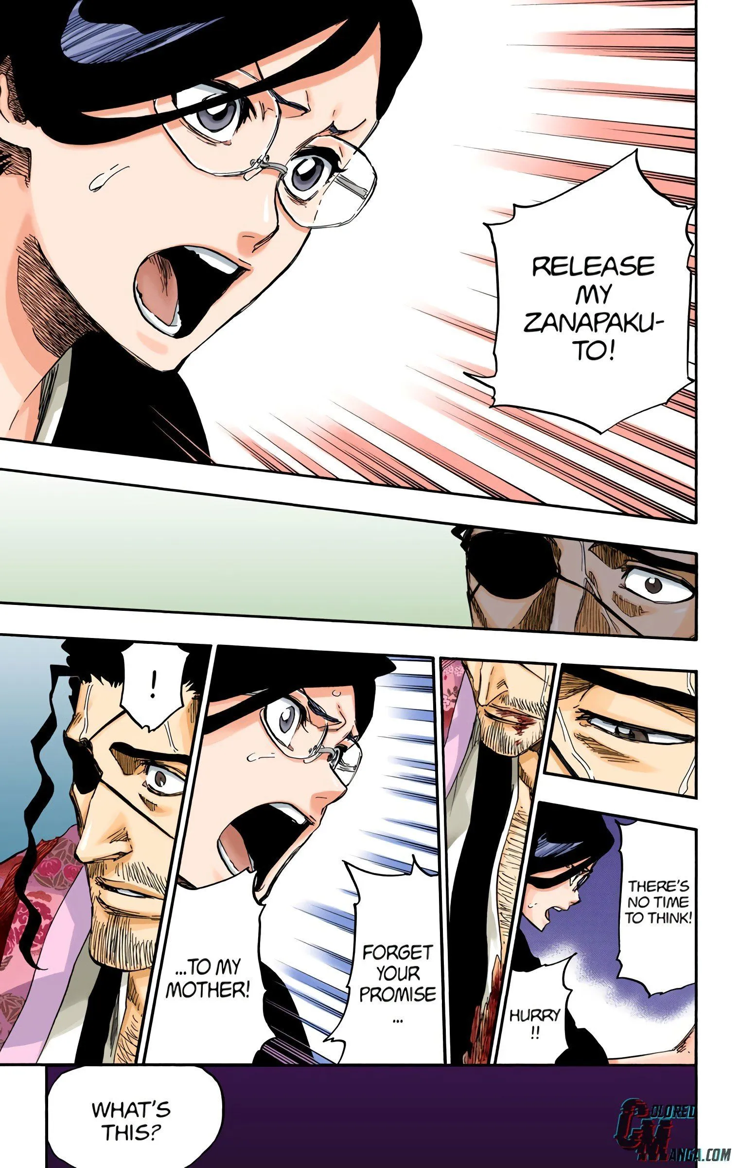 Read Bleach (Colored) EN Manga Online