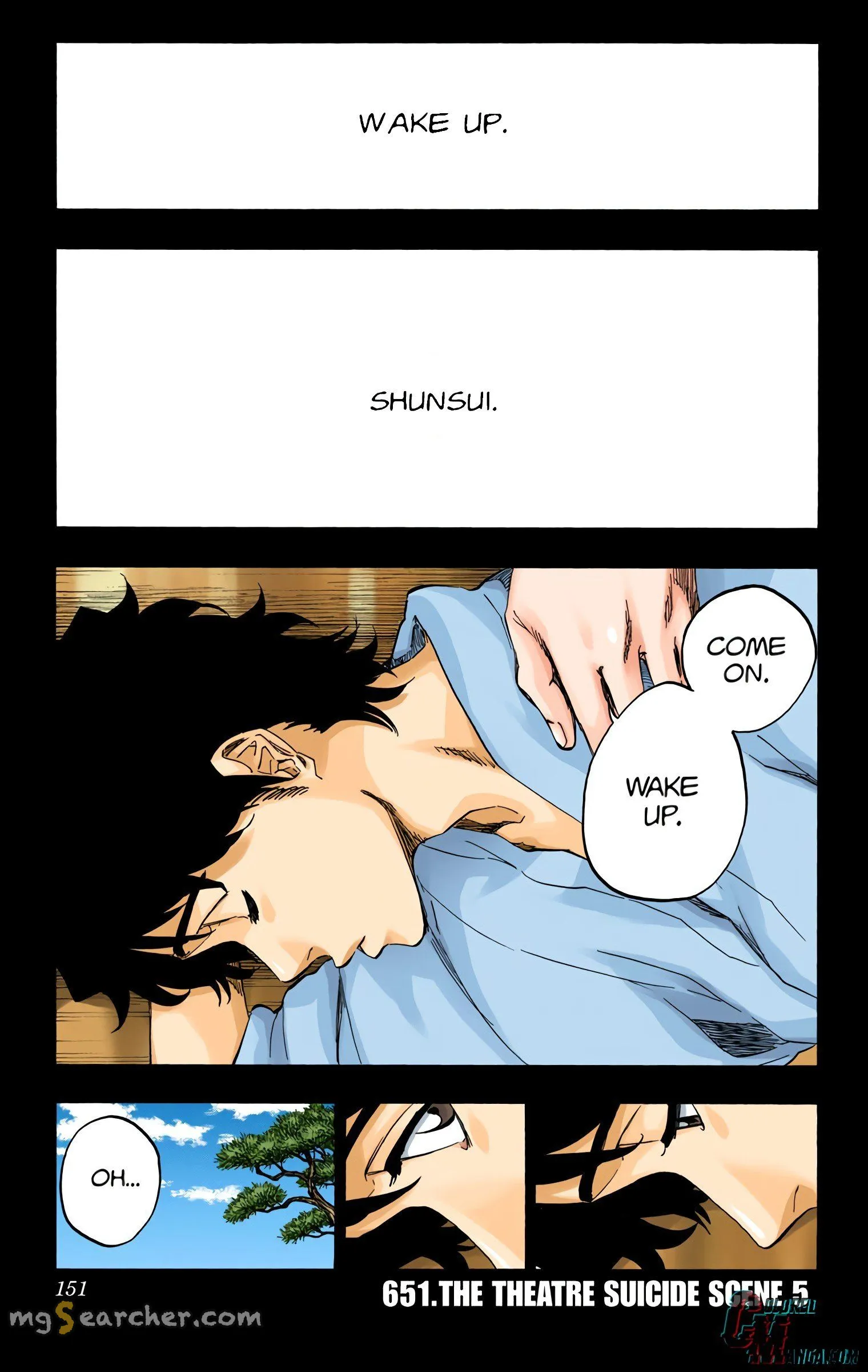 Read Bleach (Colored) EN Manga Online