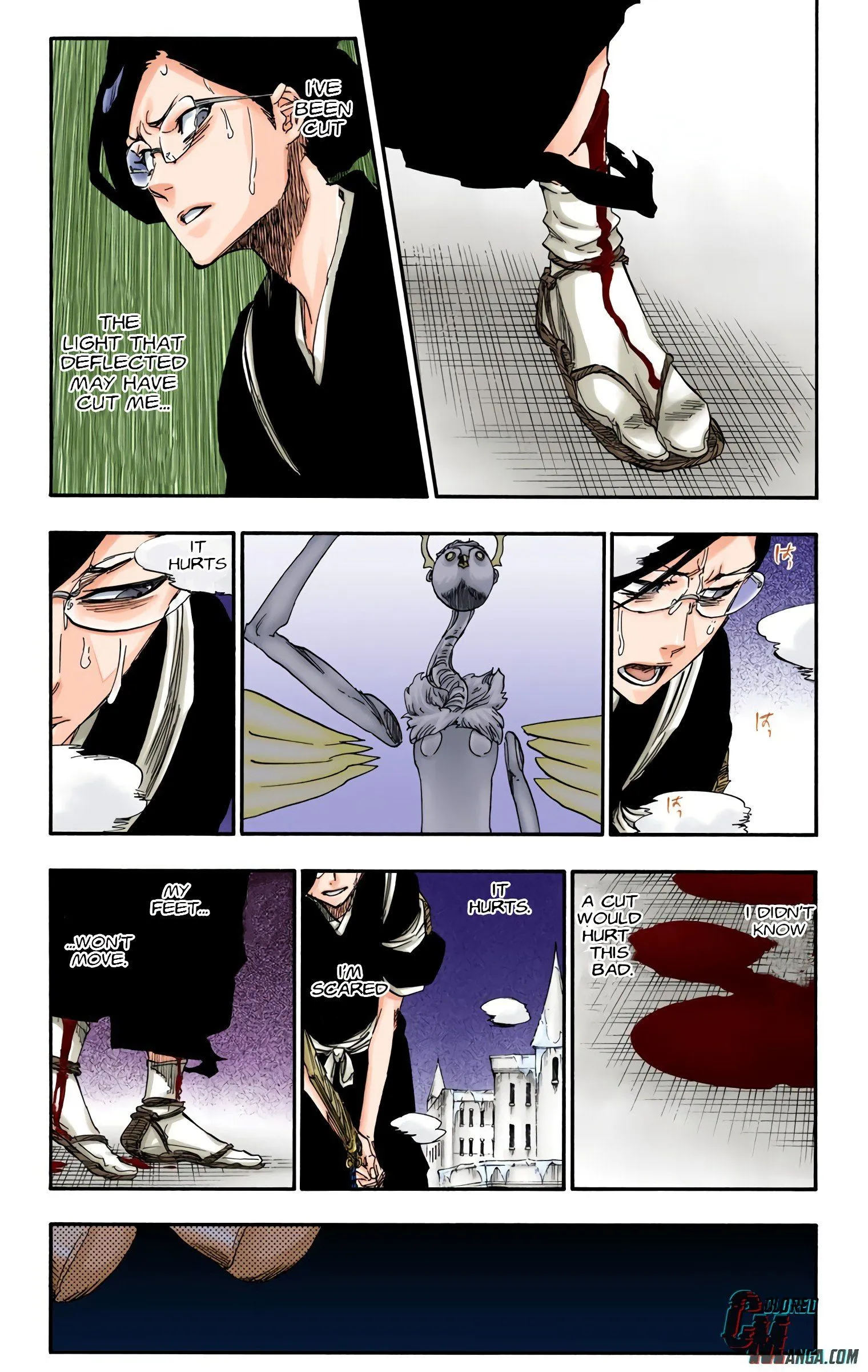 Read Bleach (Colored) EN Manga Online