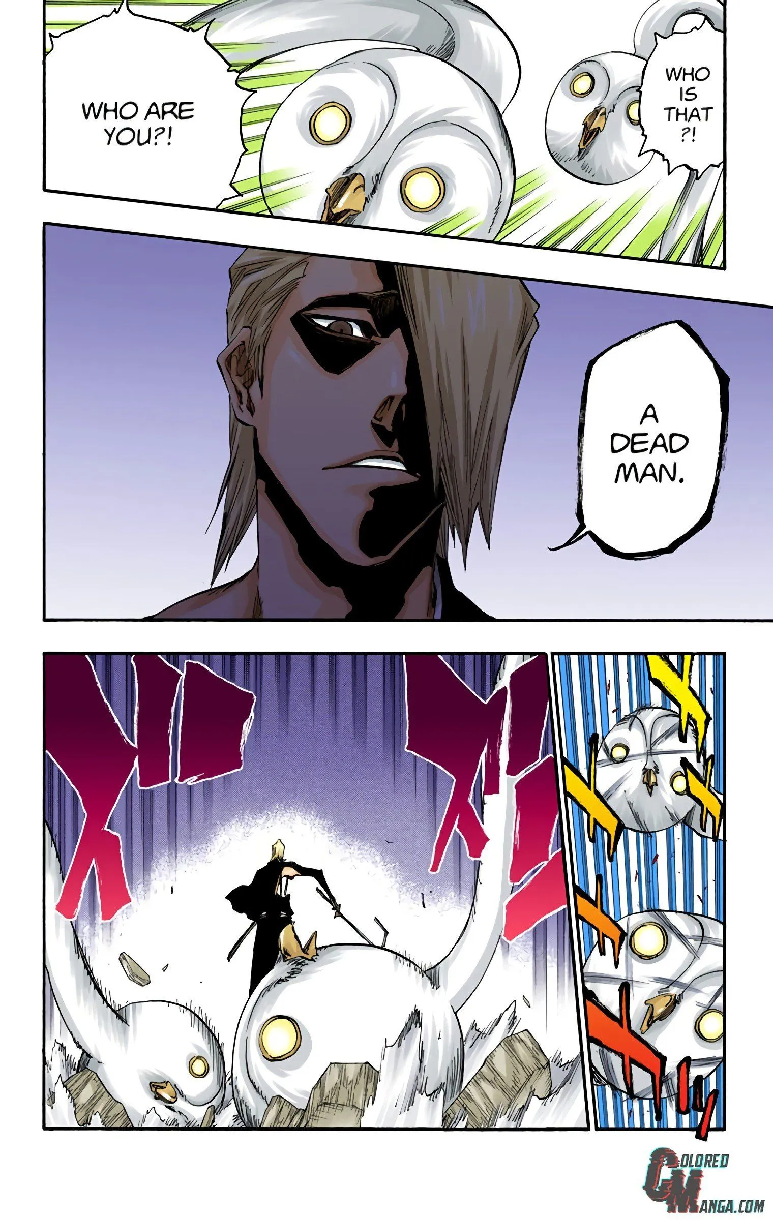 Read Bleach (Colored) EN Manga Online