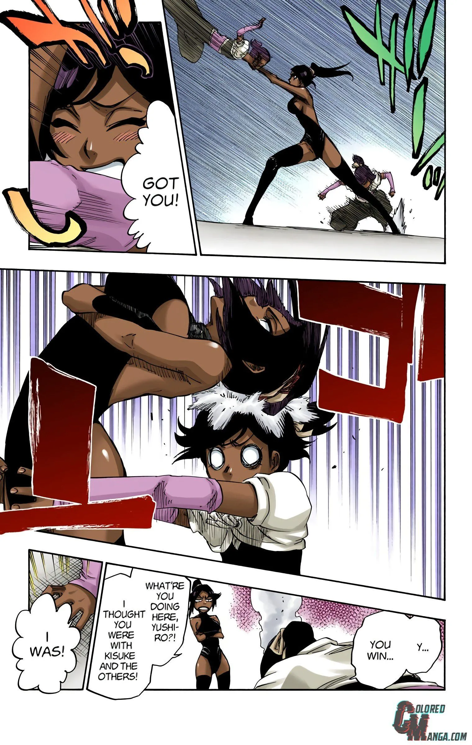 Read Bleach (Colored) EN Manga Online