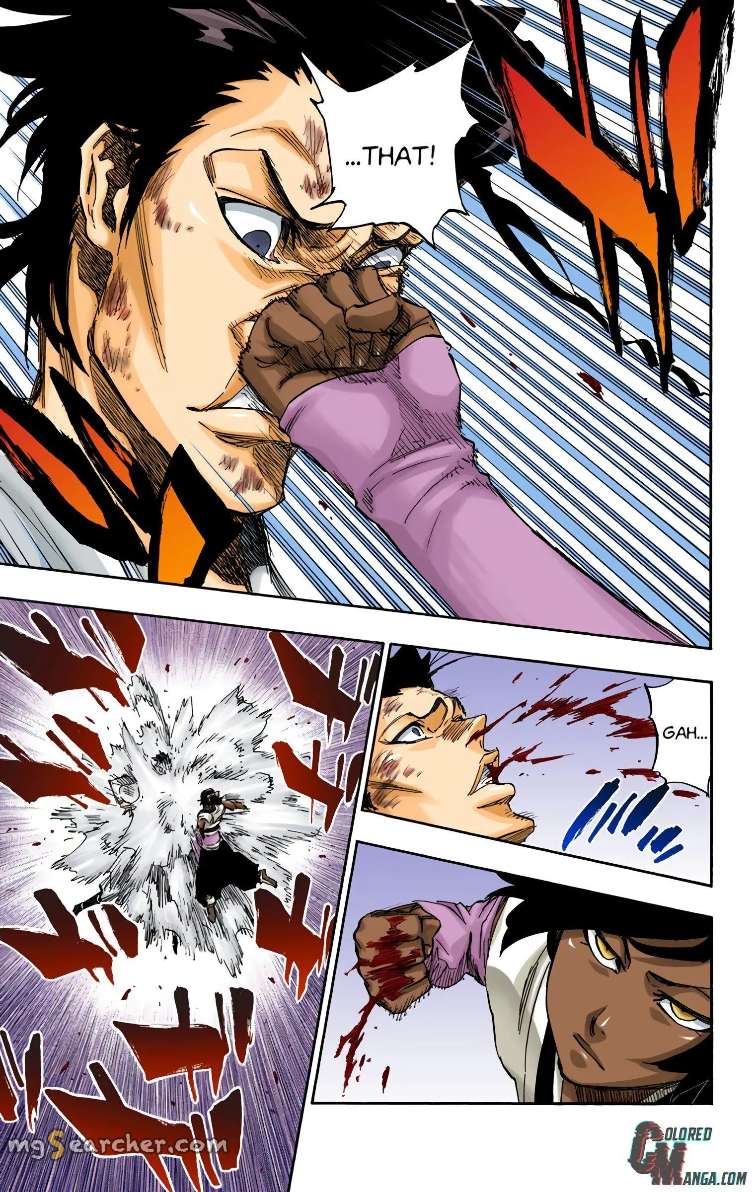 Read Bleach (Colored) EN Manga Online