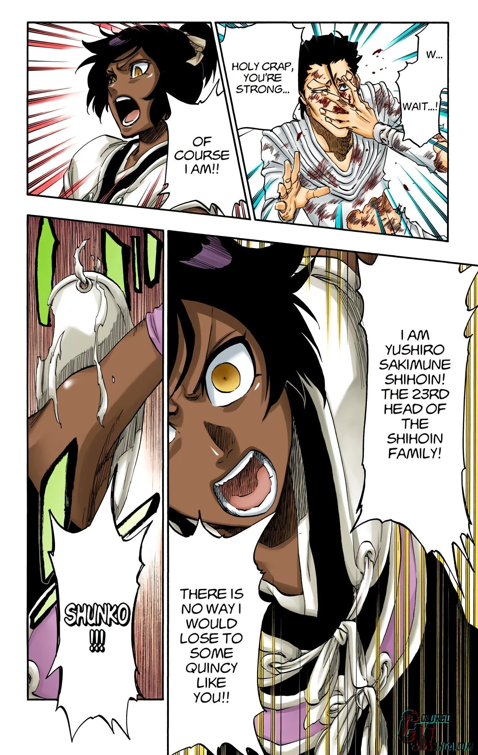 Read Bleach (Colored) EN Manga Online