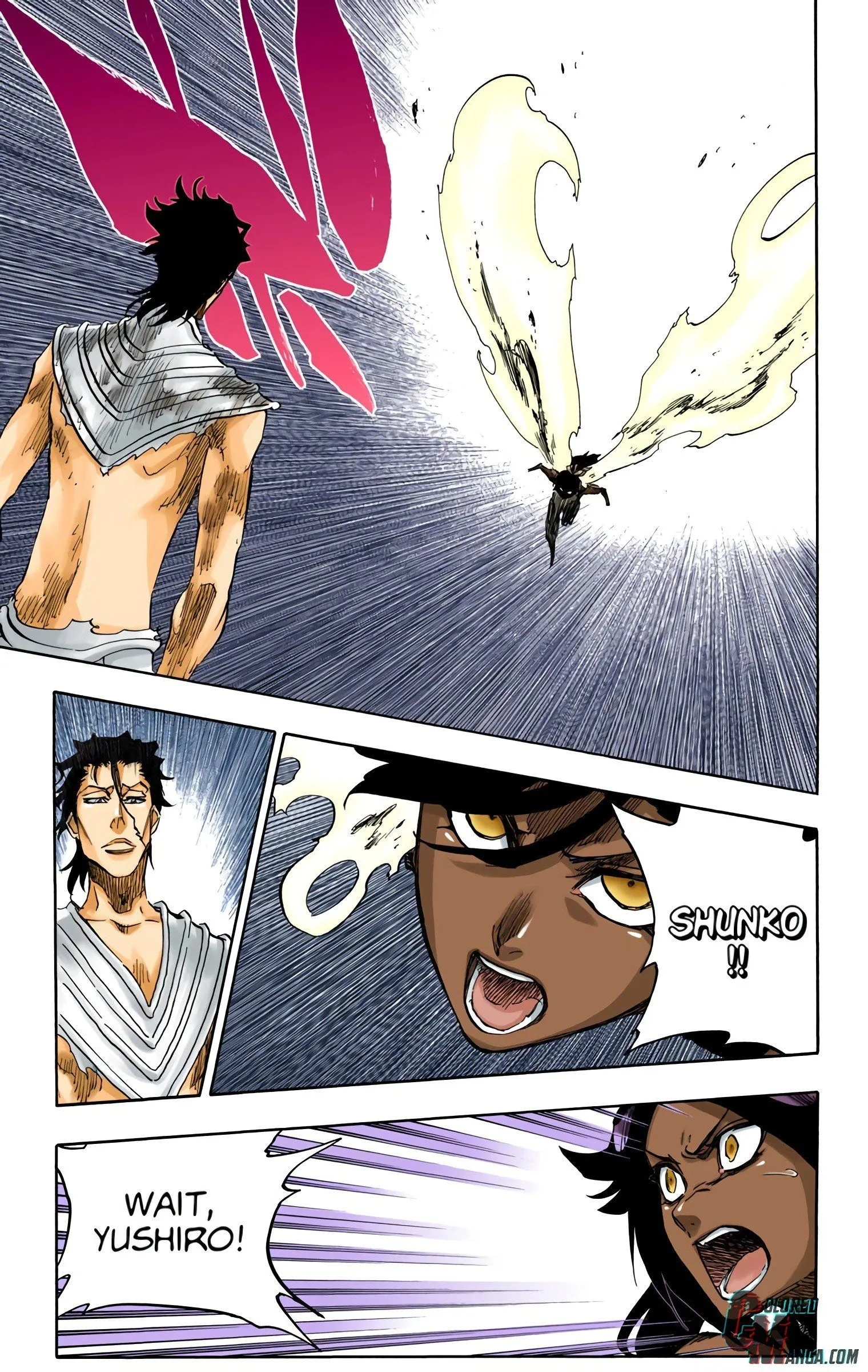 Read Bleach (Colored) EN Manga Online