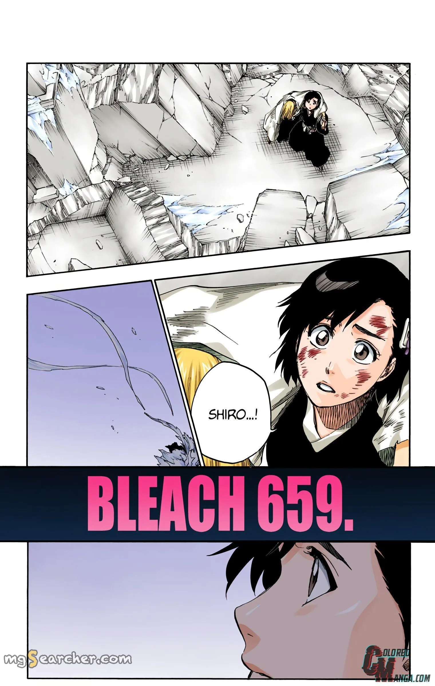 Read Bleach (Colored) EN Manga Online