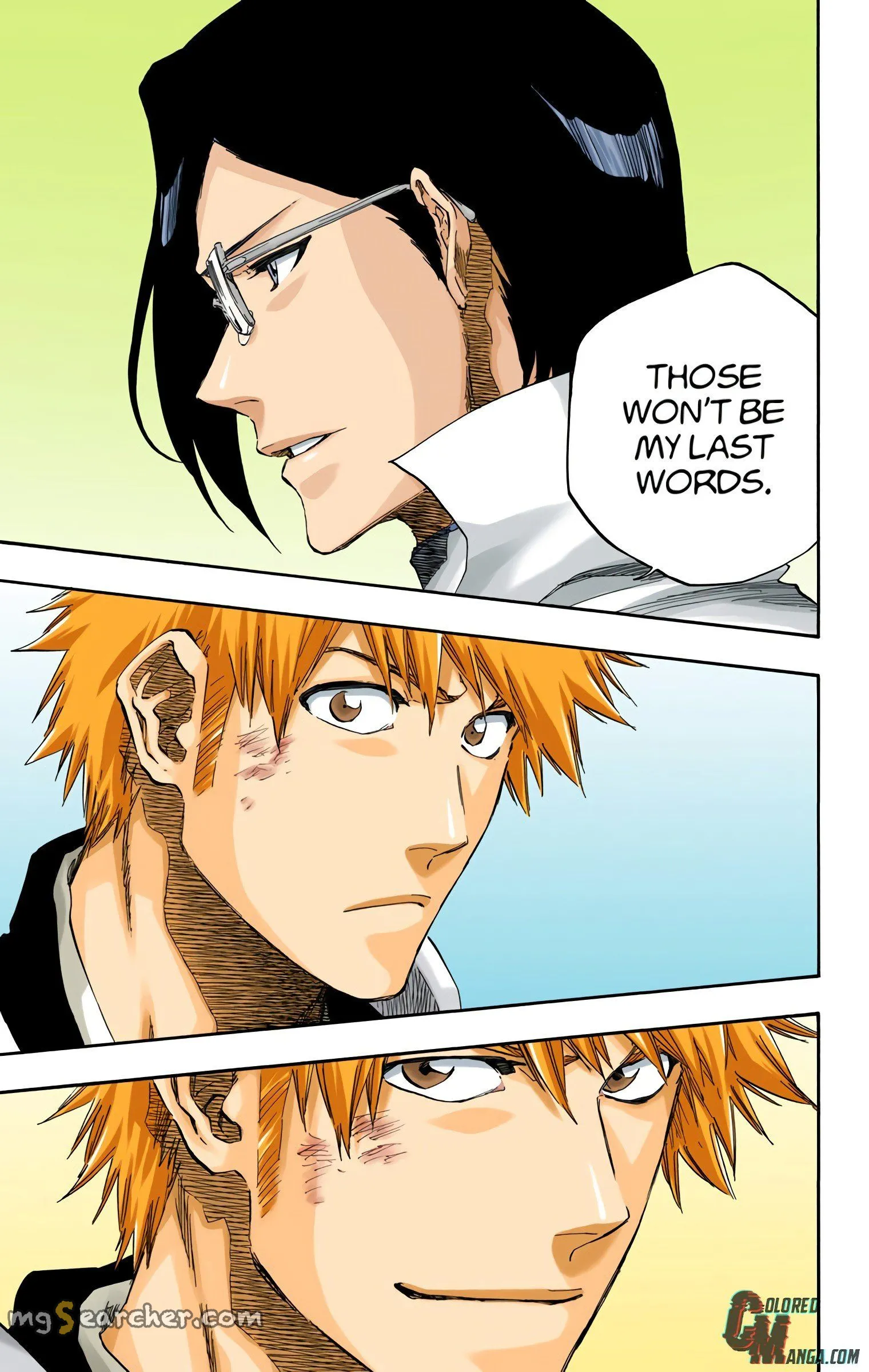 Read Bleach (Colored) EN Manga Online