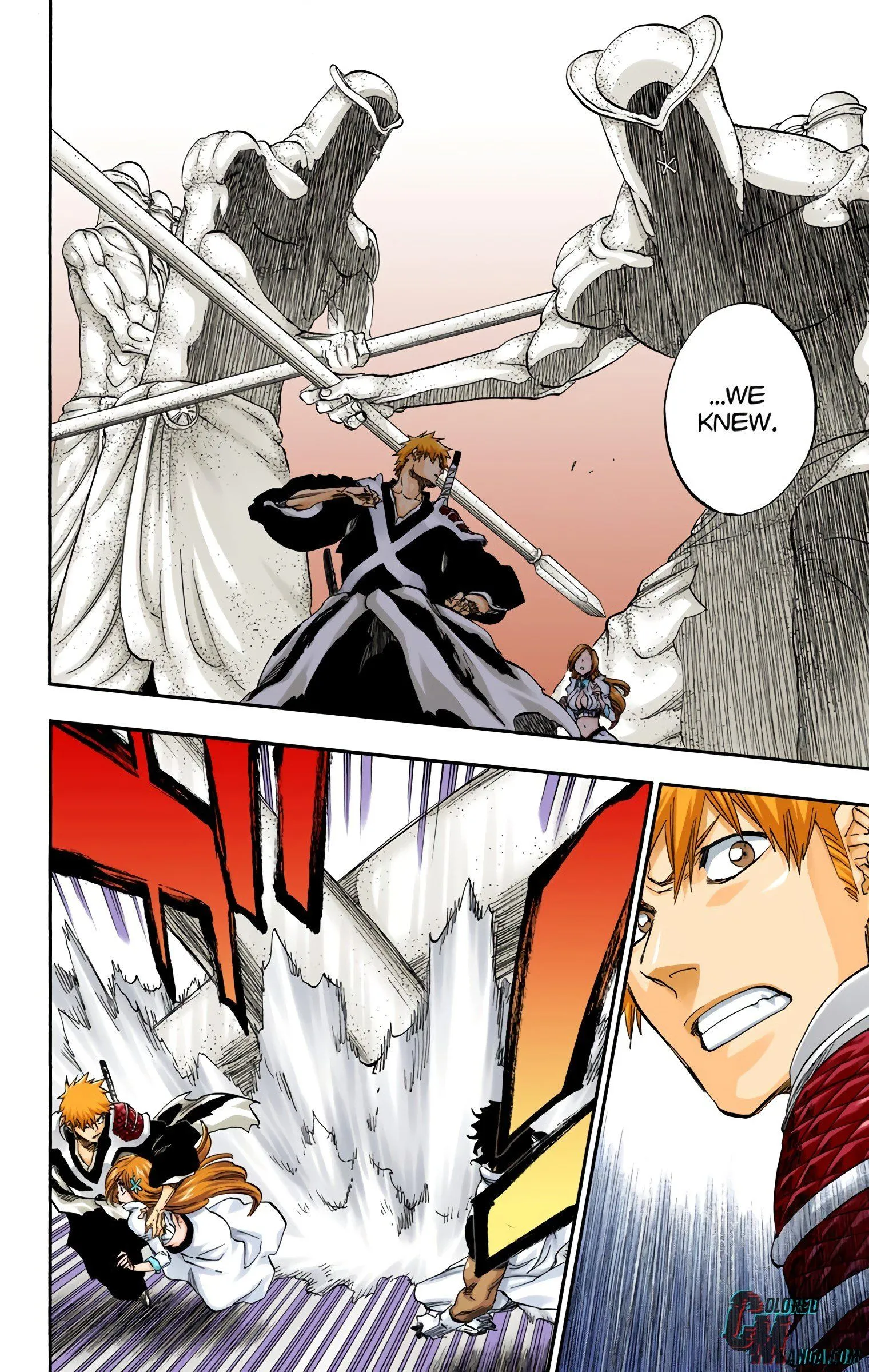 Read Bleach (Colored) EN Manga Online