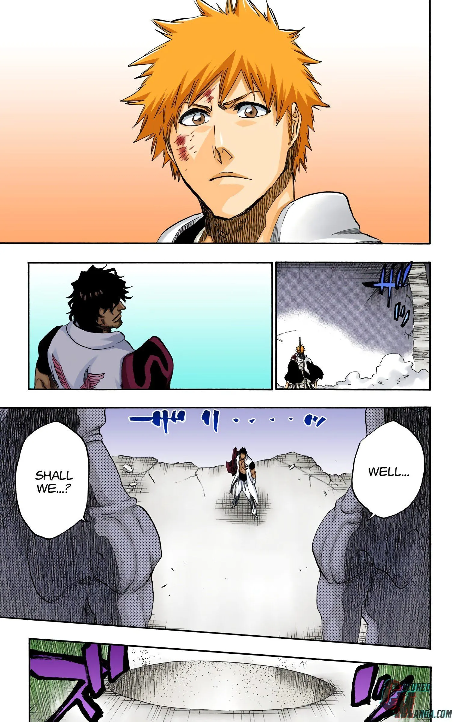 Read Bleach (Colored) EN Manga Online