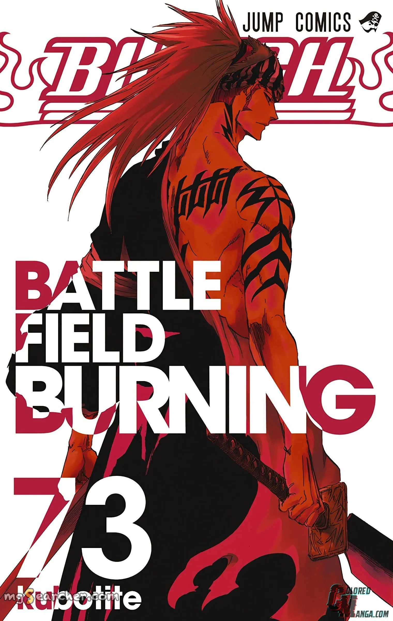 Read Bleach (Colored) EN Manga Online