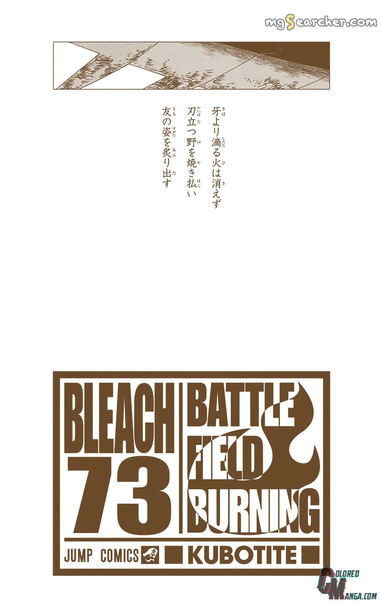 Read Bleach (Colored) EN Manga Online