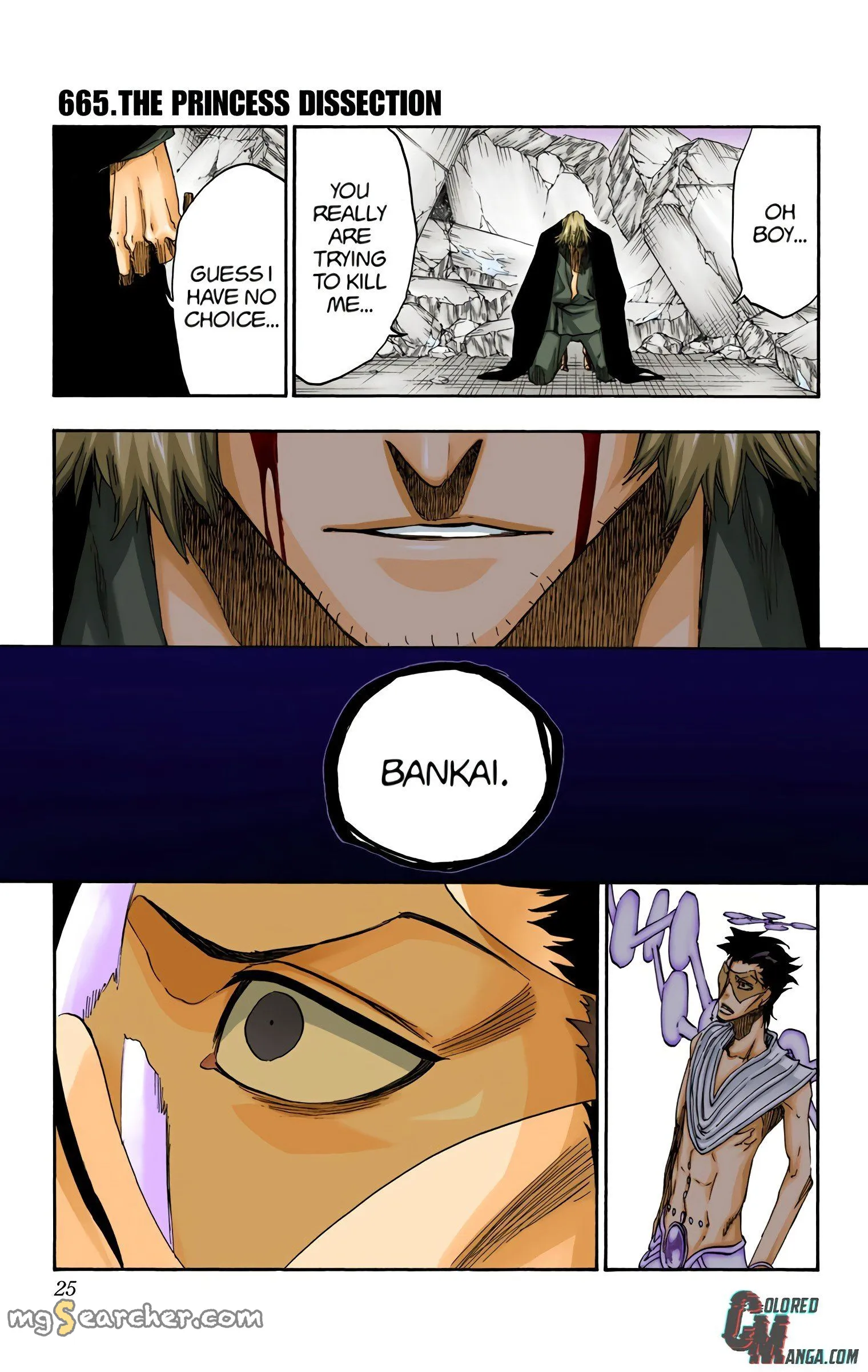 Read Bleach (Colored) EN Manga Online