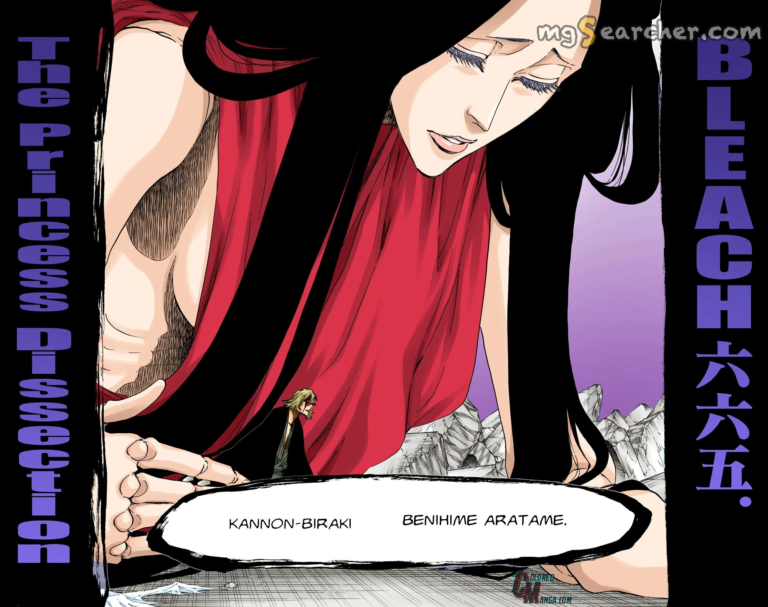 Read Bleach (Colored) EN Manga Online