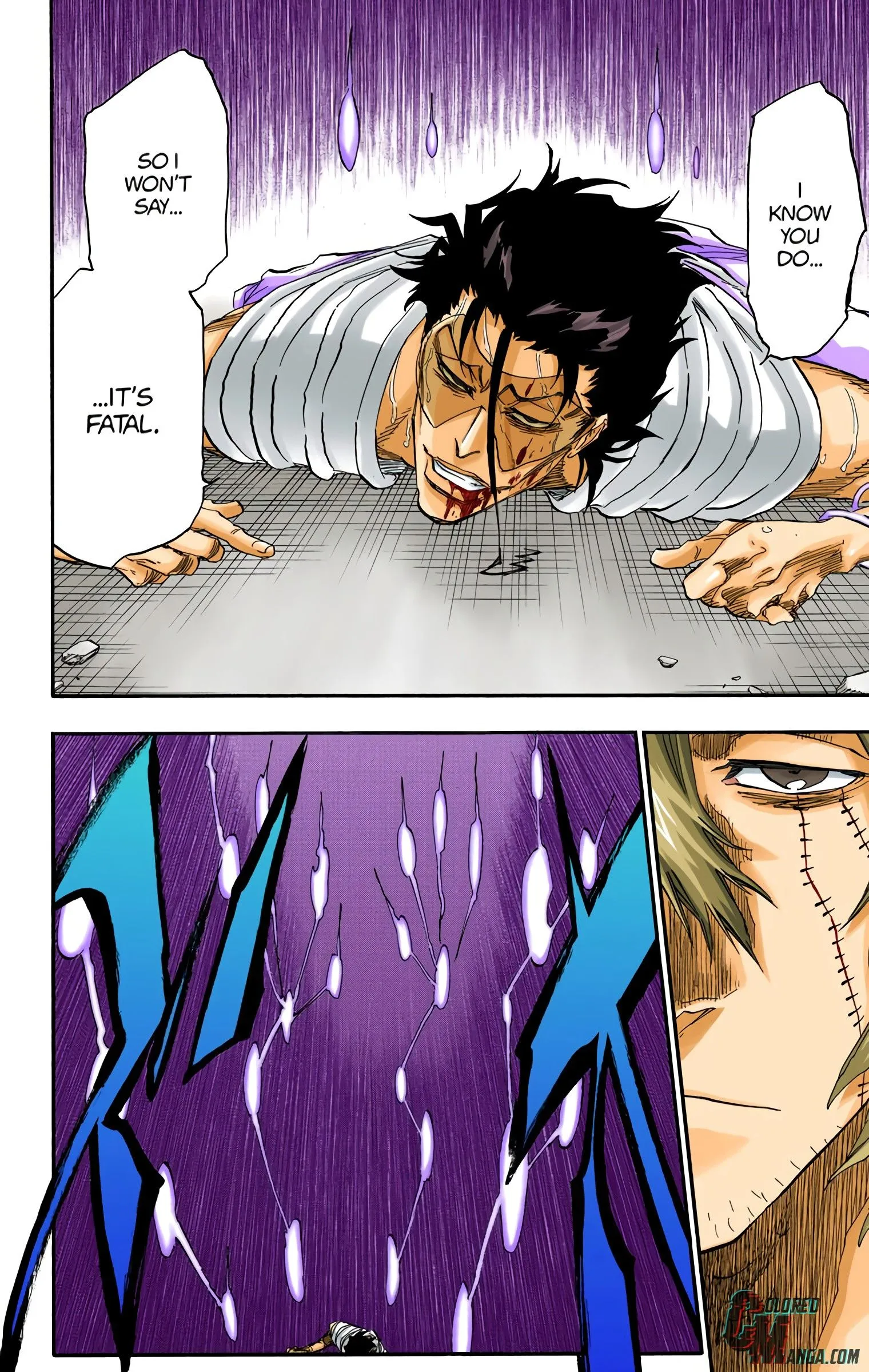 Read Bleach (Colored) EN Manga Online