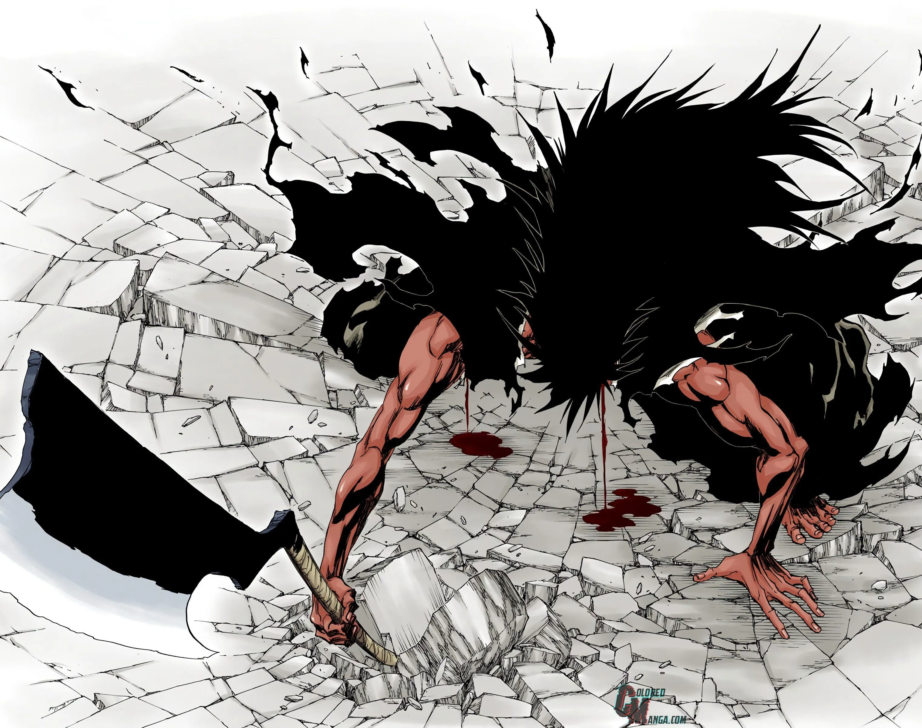 Read Bleach (Colored) EN Manga Online