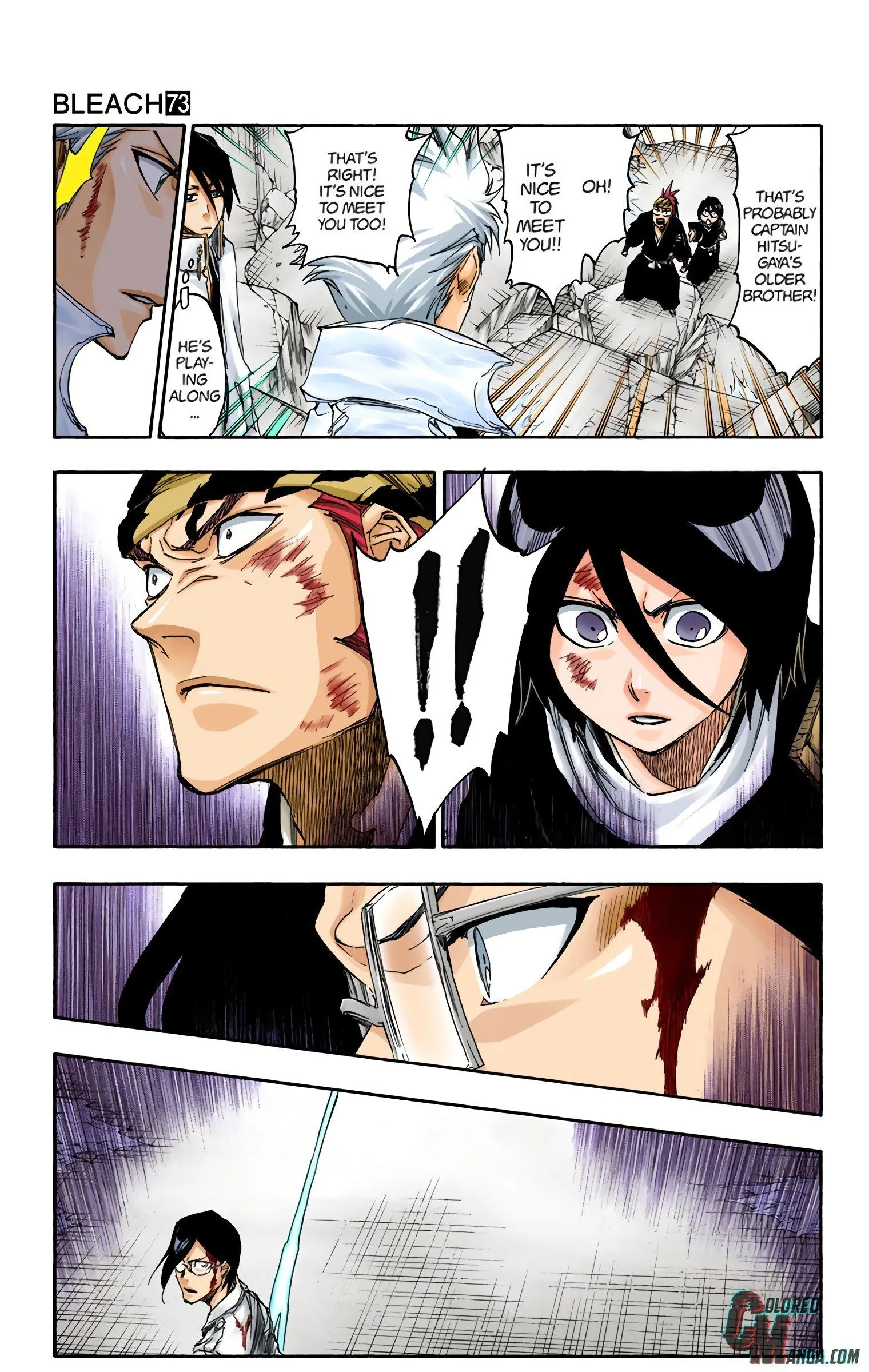 Read Bleach (Colored) EN Manga Online