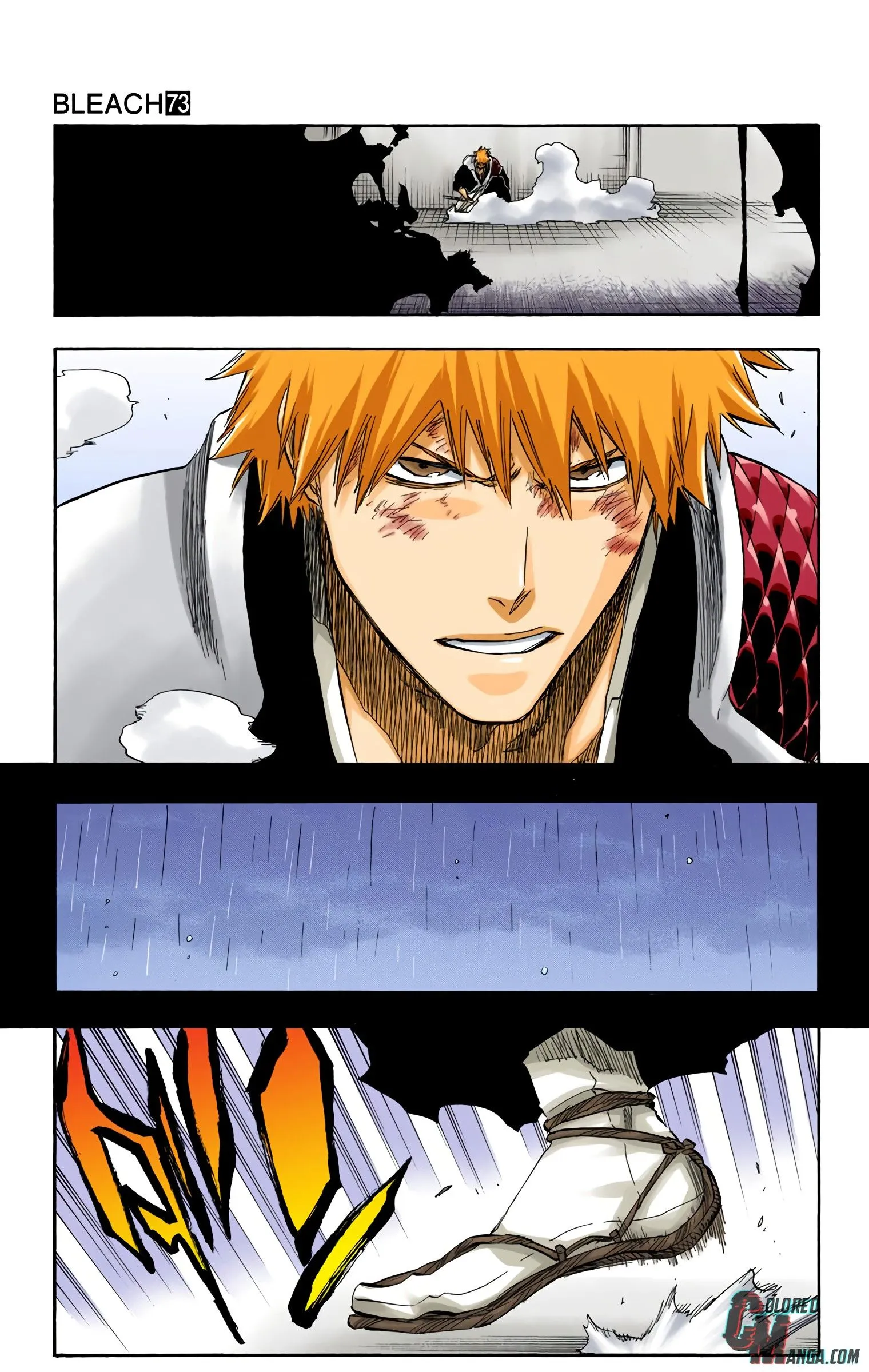 Read Bleach (Colored) EN Manga Online