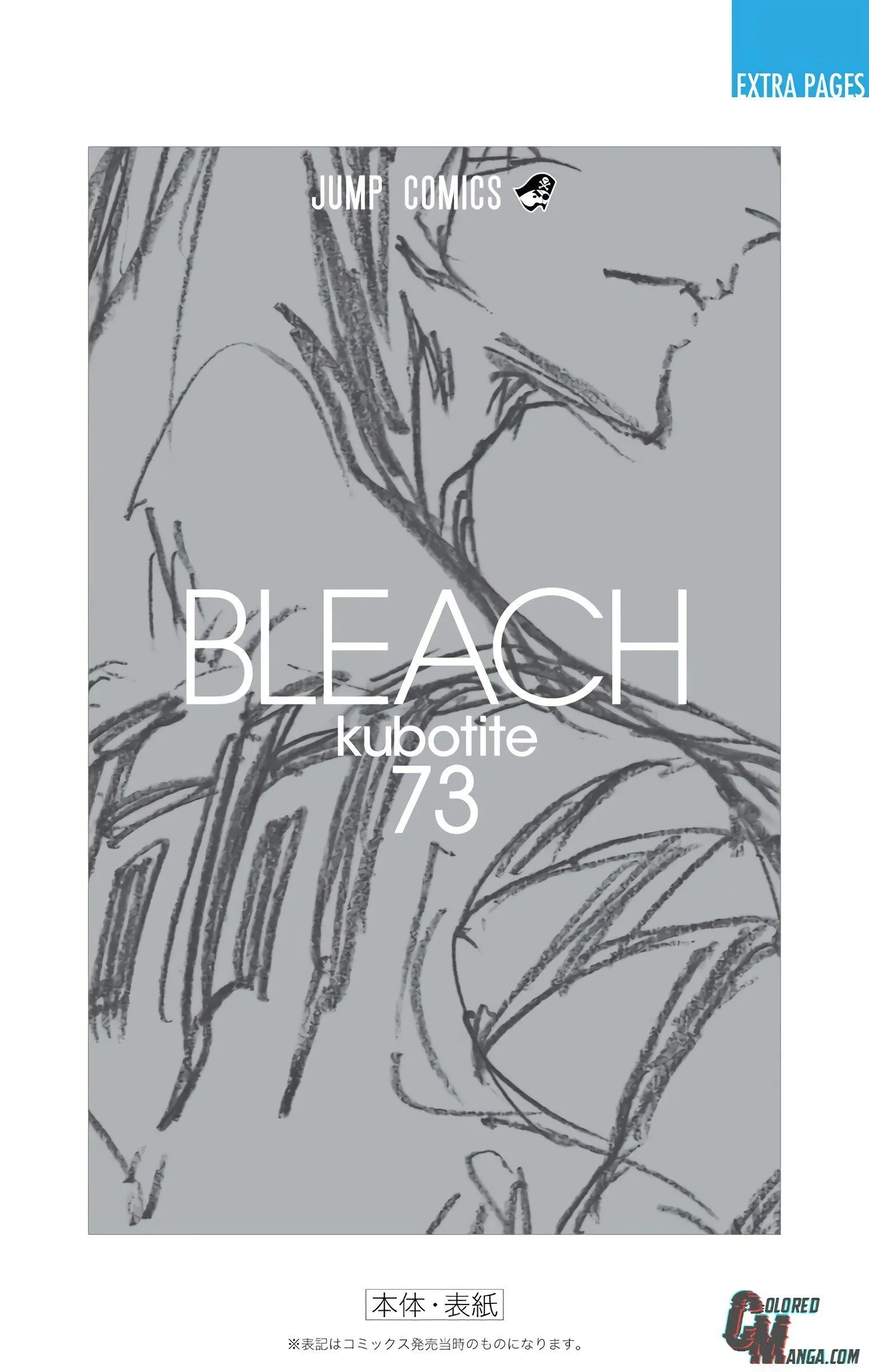 Read Bleach (Colored) EN Manga Online