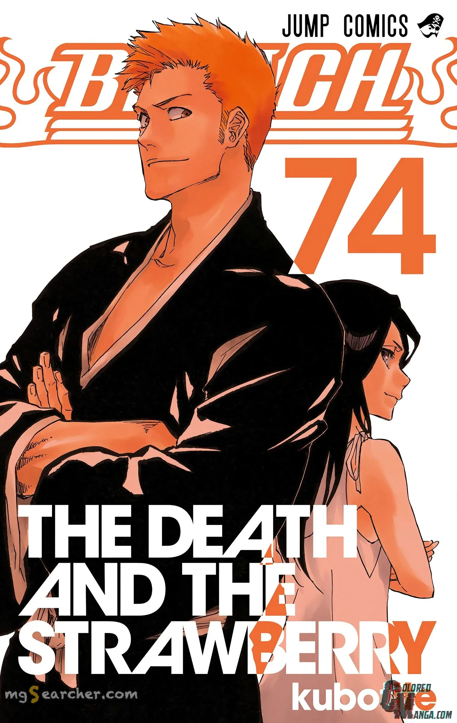 Read Bleach (Colored) EN Manga Online