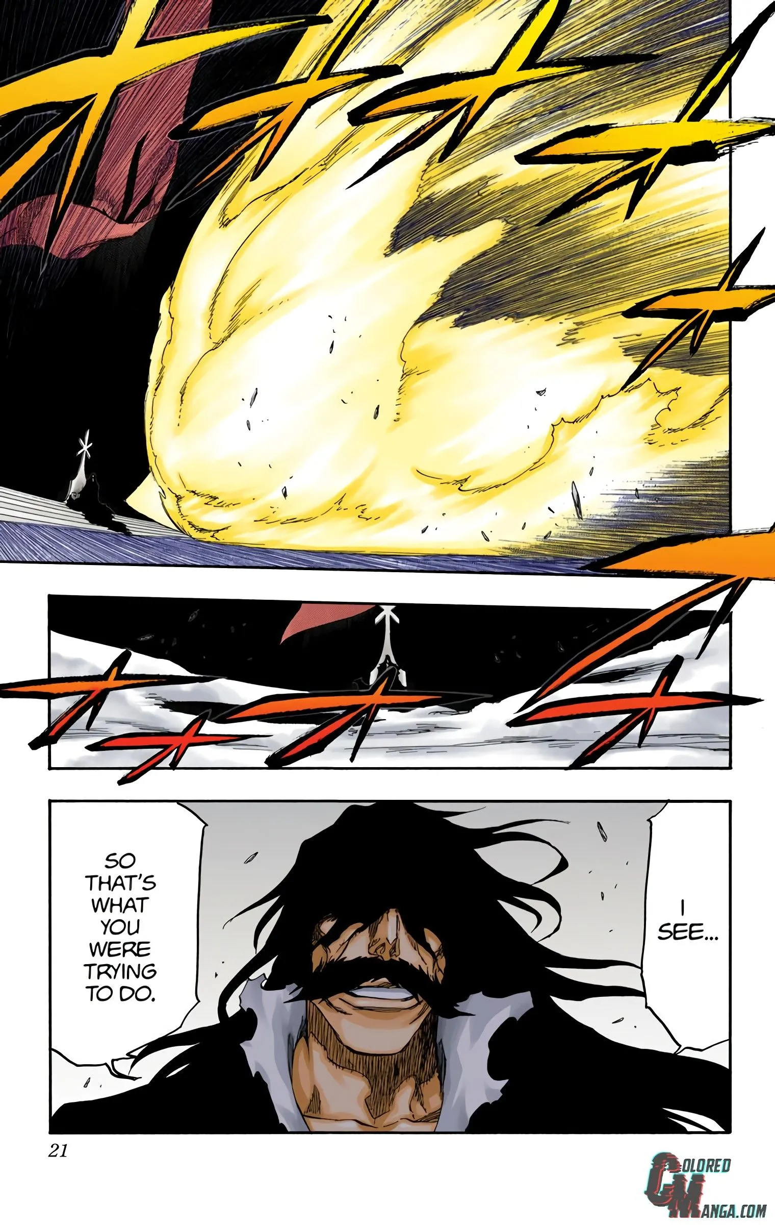 Read Bleach (Colored) EN Manga Online