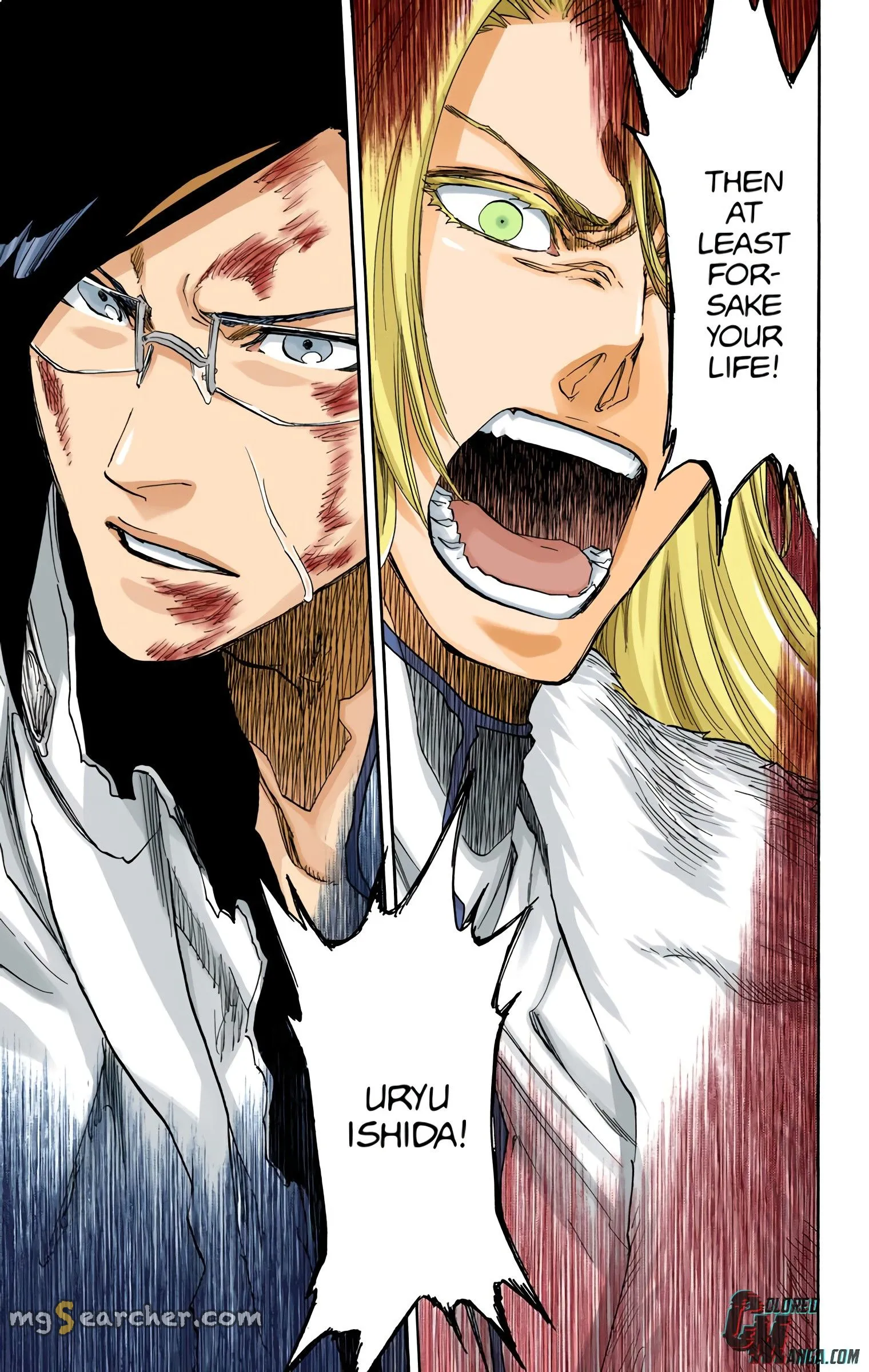 Read Bleach (Colored) EN Manga Online