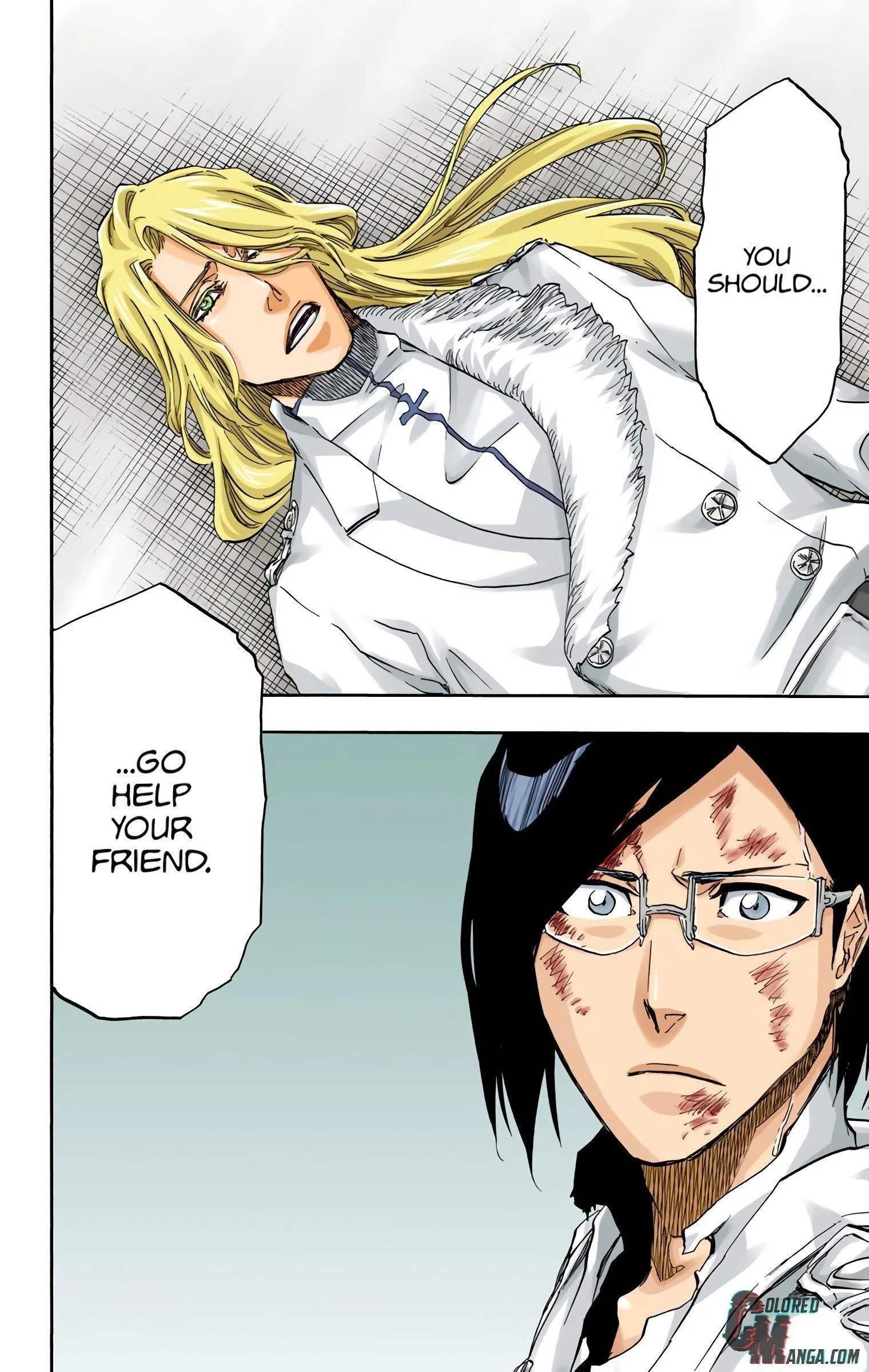 Read Bleach (Colored) EN Manga Online