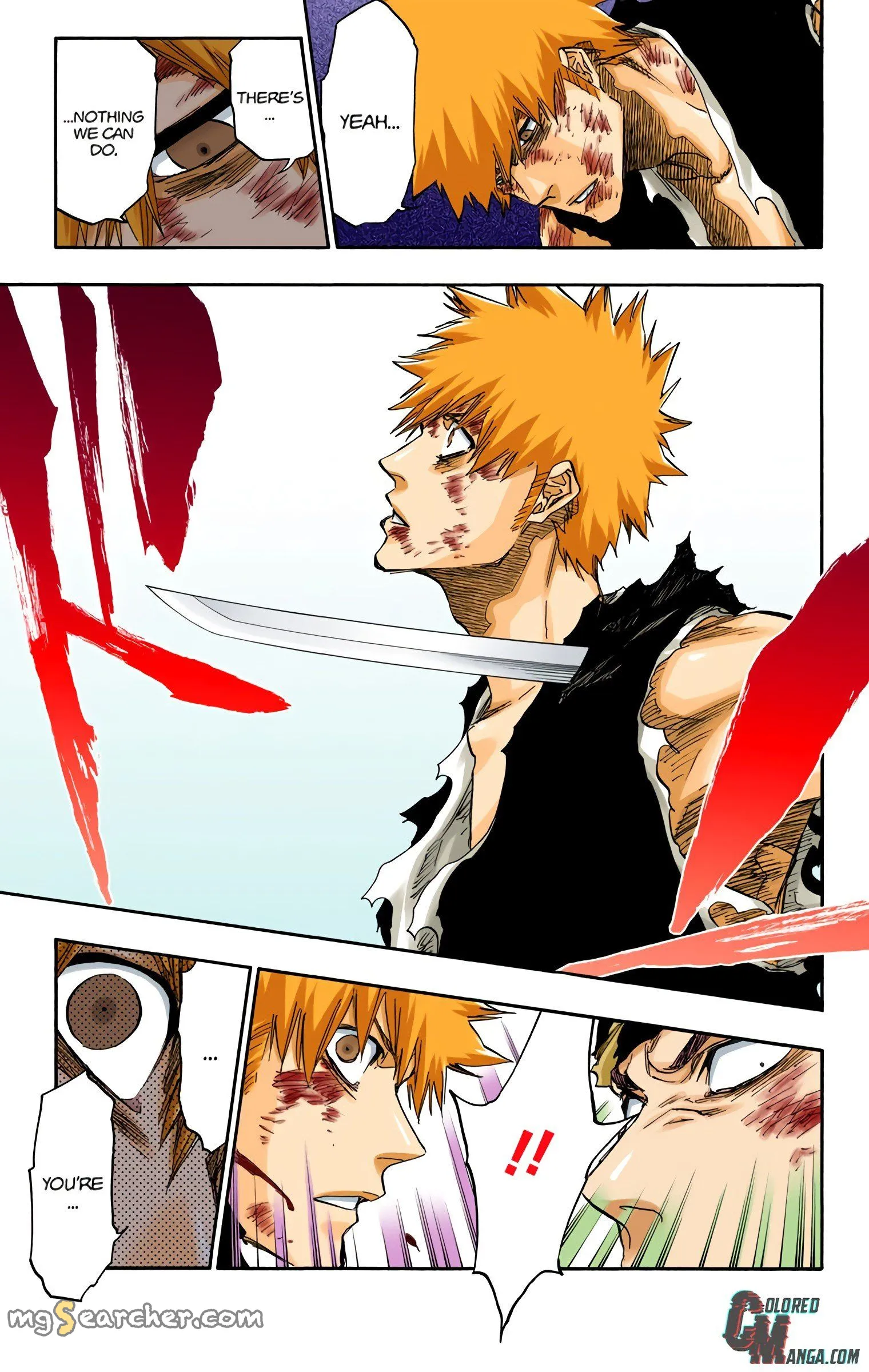 Read Bleach (Colored) EN Manga Online