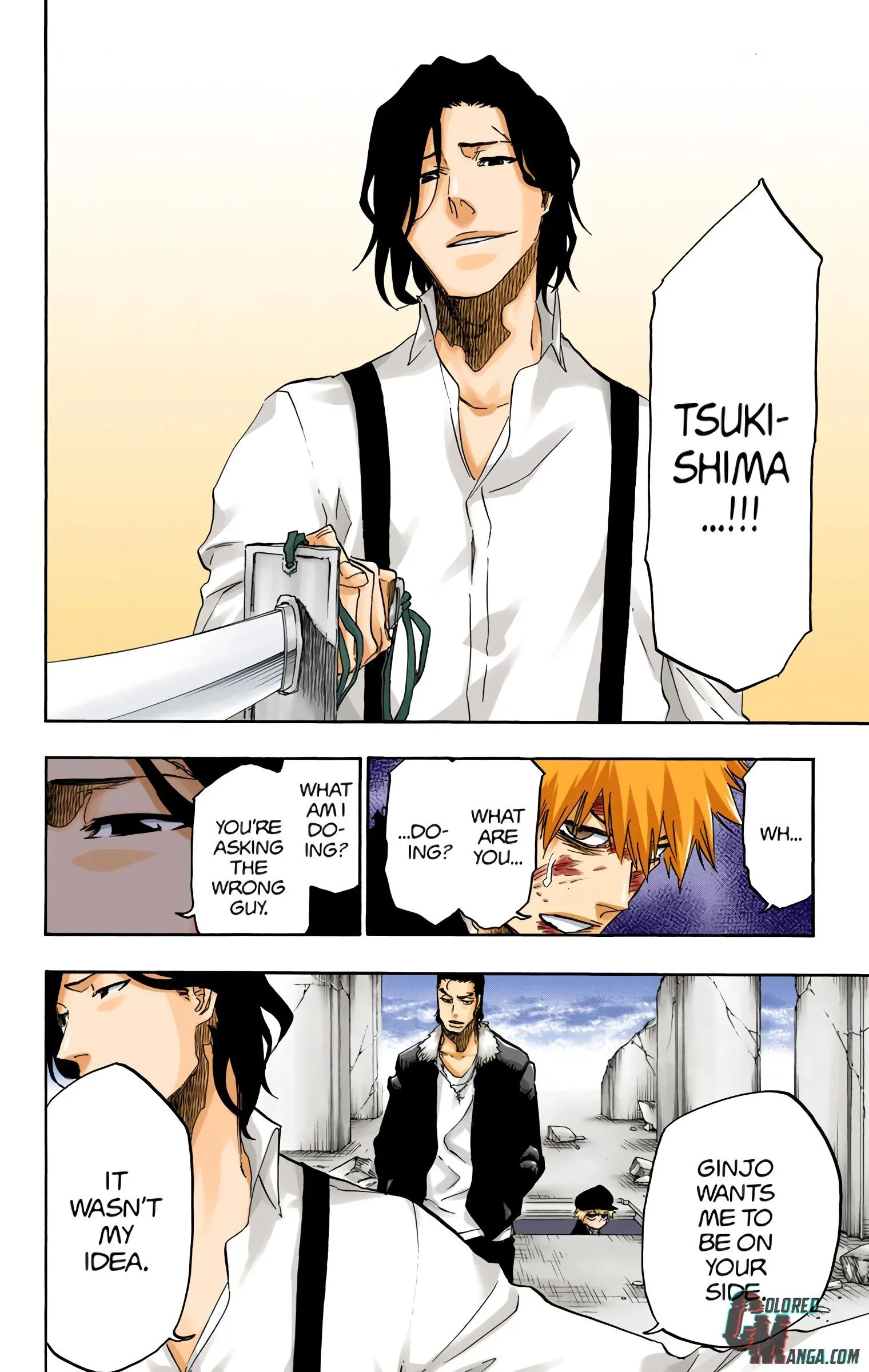 Read Bleach (Colored) EN Manga Online