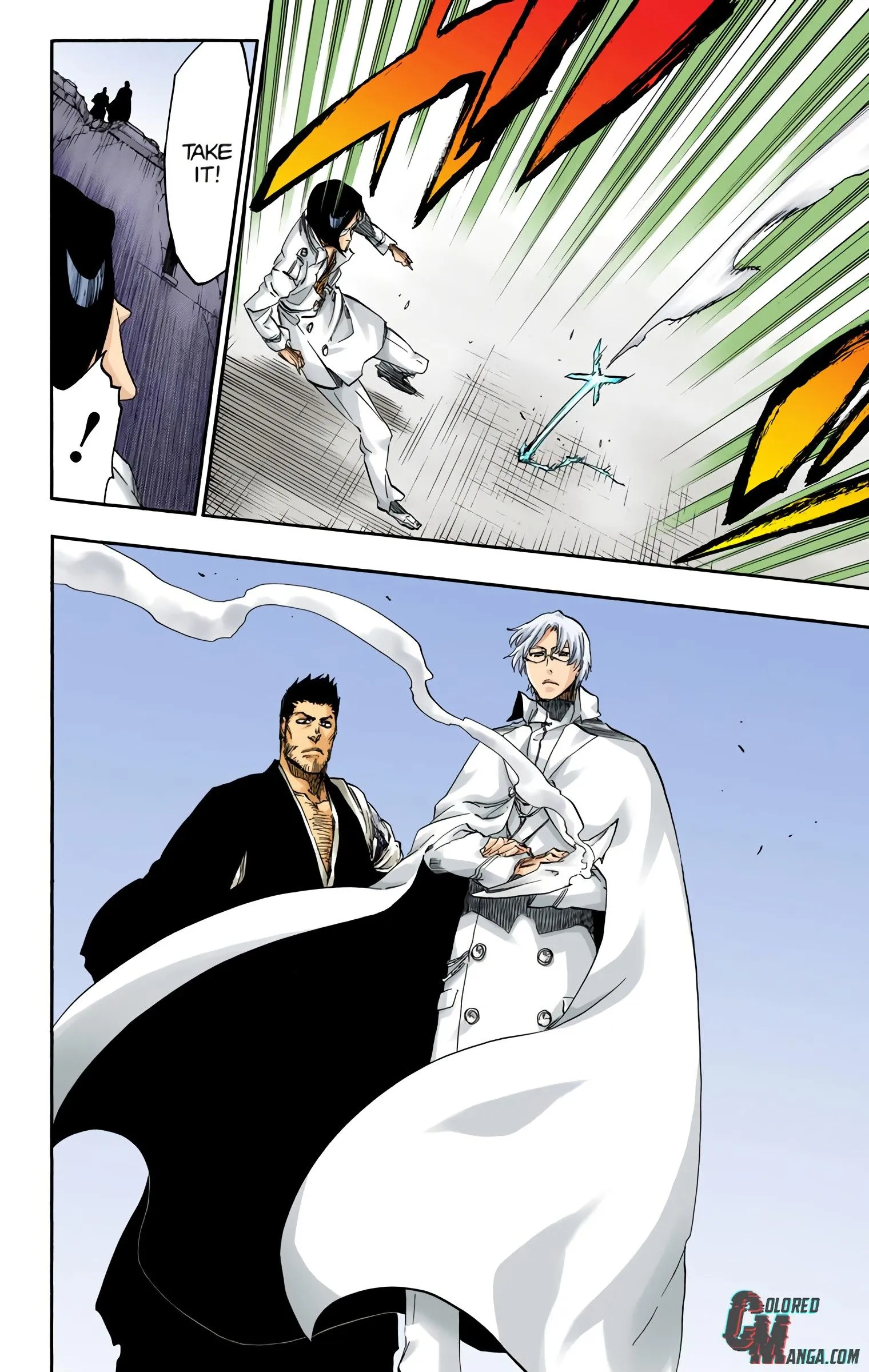 Read Bleach (Colored) EN Manga Online