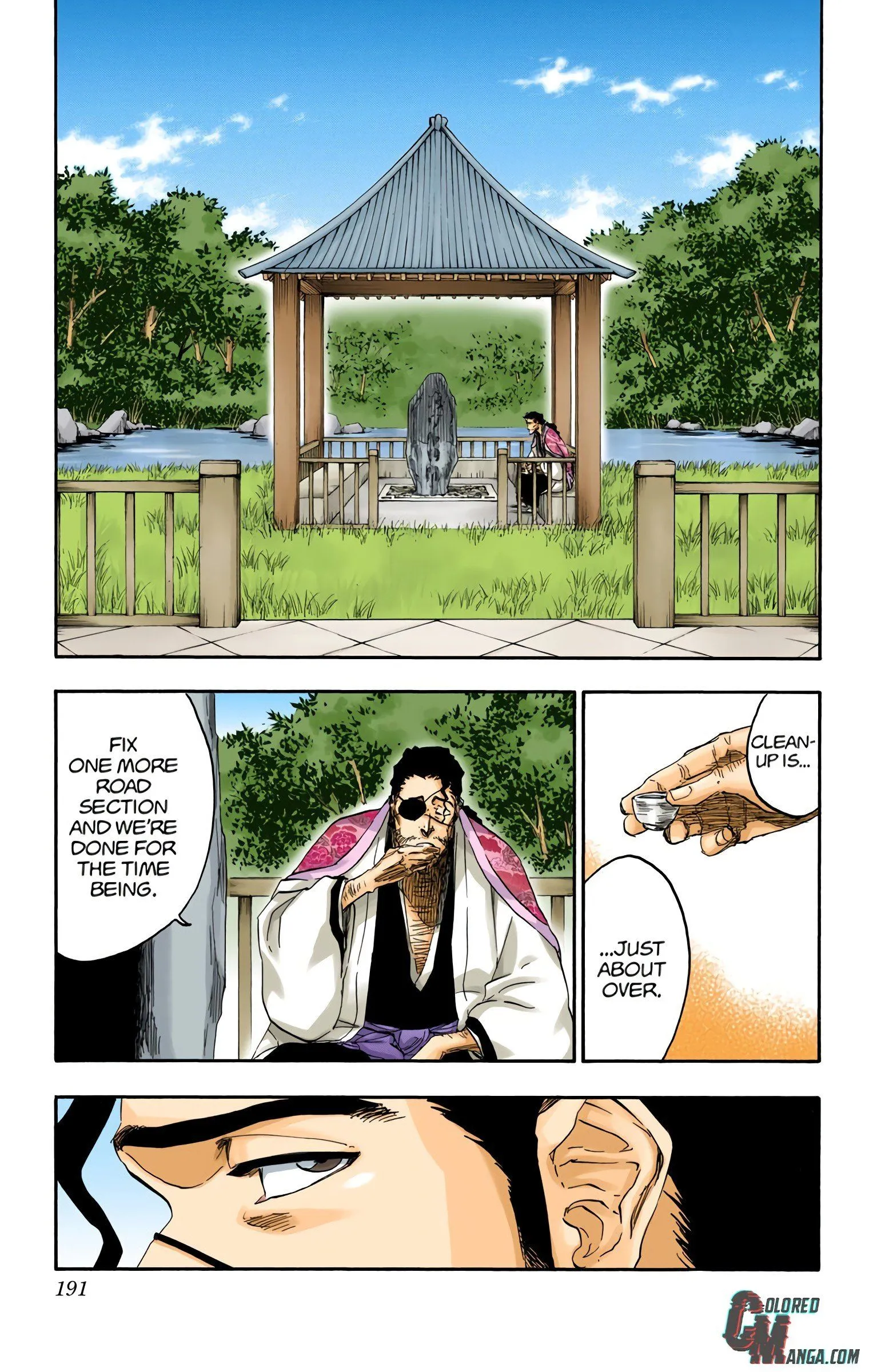 Read Bleach (Colored) EN Manga Online