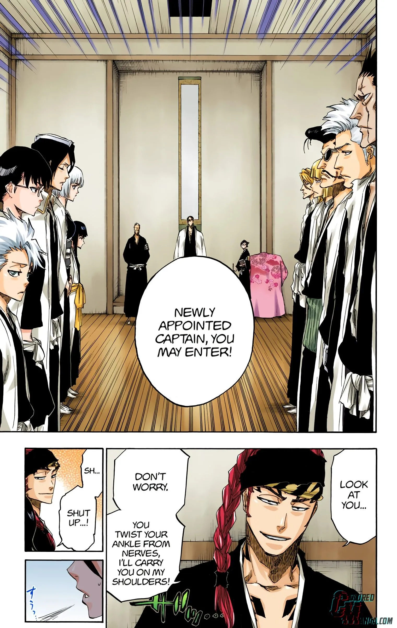 Read Bleach (Colored) EN Manga Online