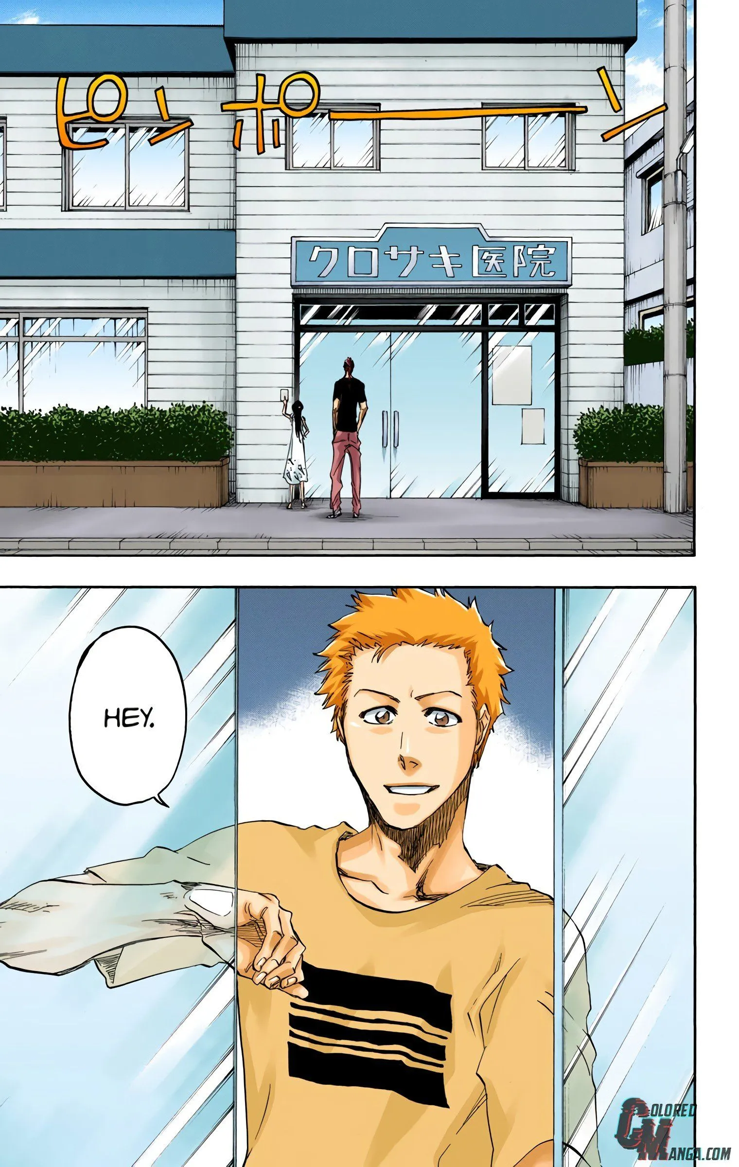 Read Bleach (Colored) EN Manga Online