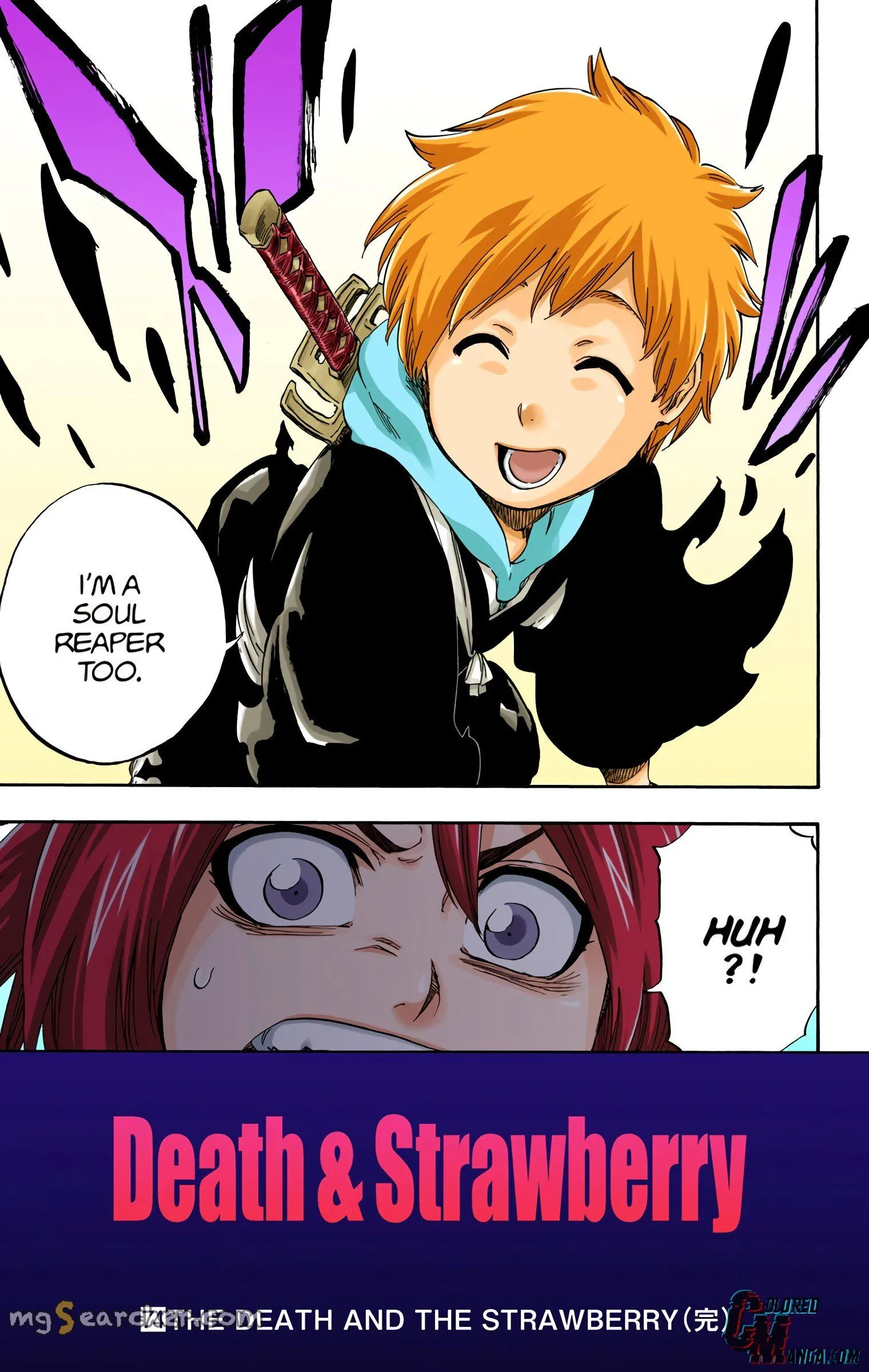 Read Bleach (Colored) EN Manga Online