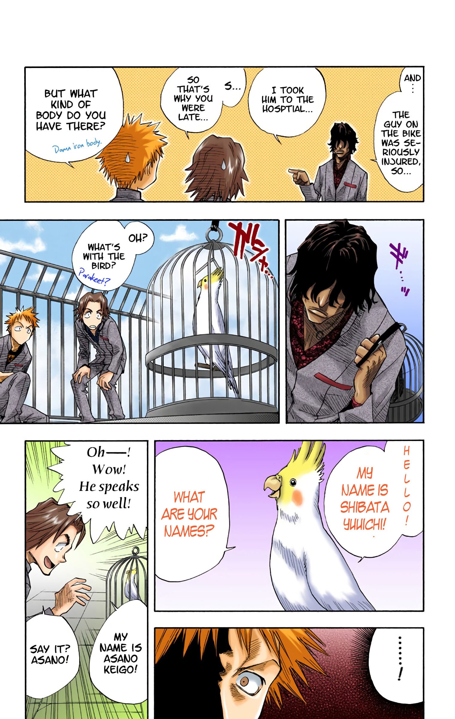 Read Bleach (Colored) EN Manga Online