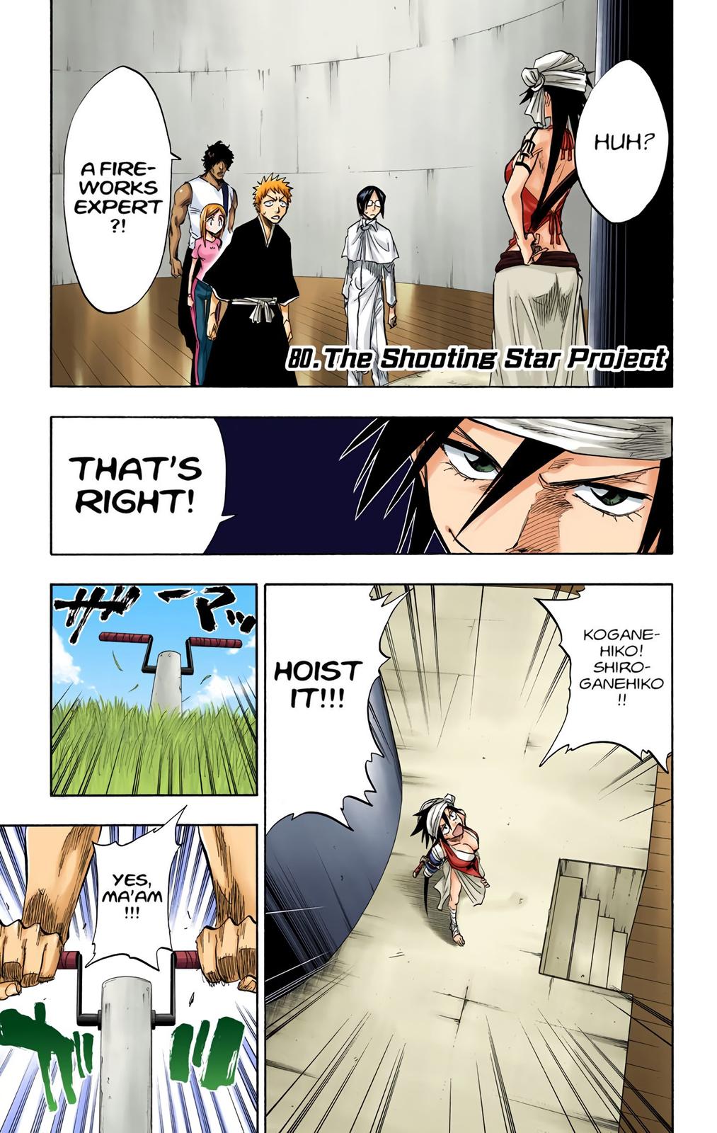 Read Bleach (Colored) EN Manga Online