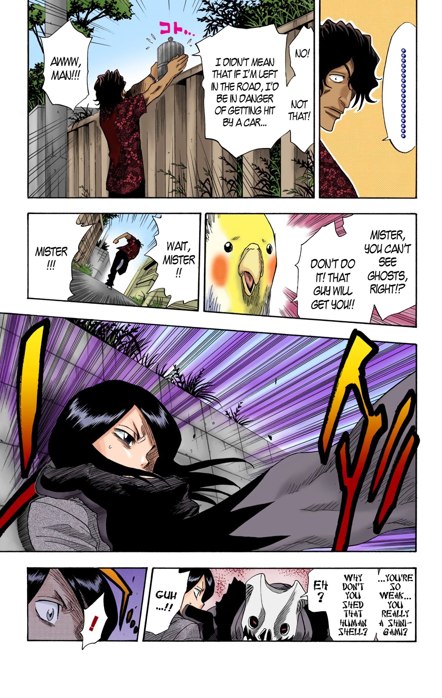 Read Bleach (Colored) EN Manga Online