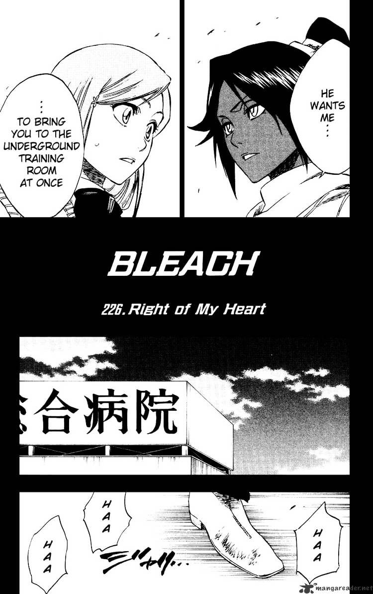 Read Bleach EN Manga Online