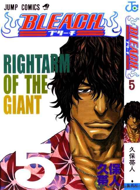 Read Bleach EN Manga Online