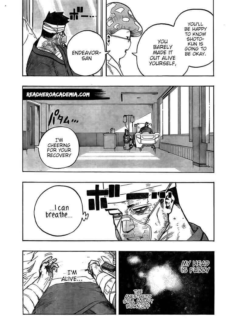 Read Boku no Hero Academia EN Manga Online