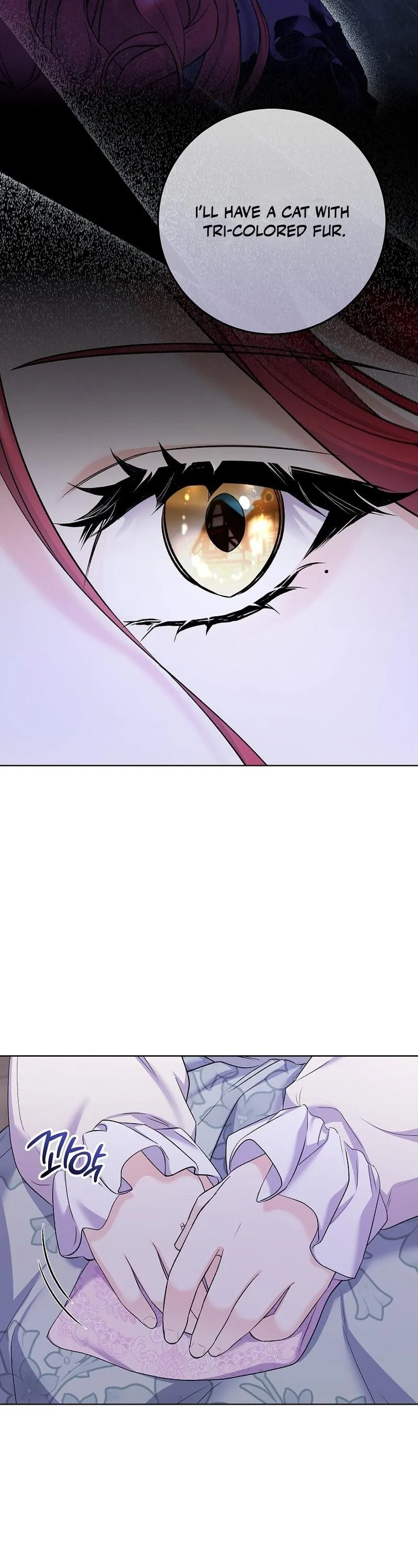 Read Celeb Lady EN Manga Online