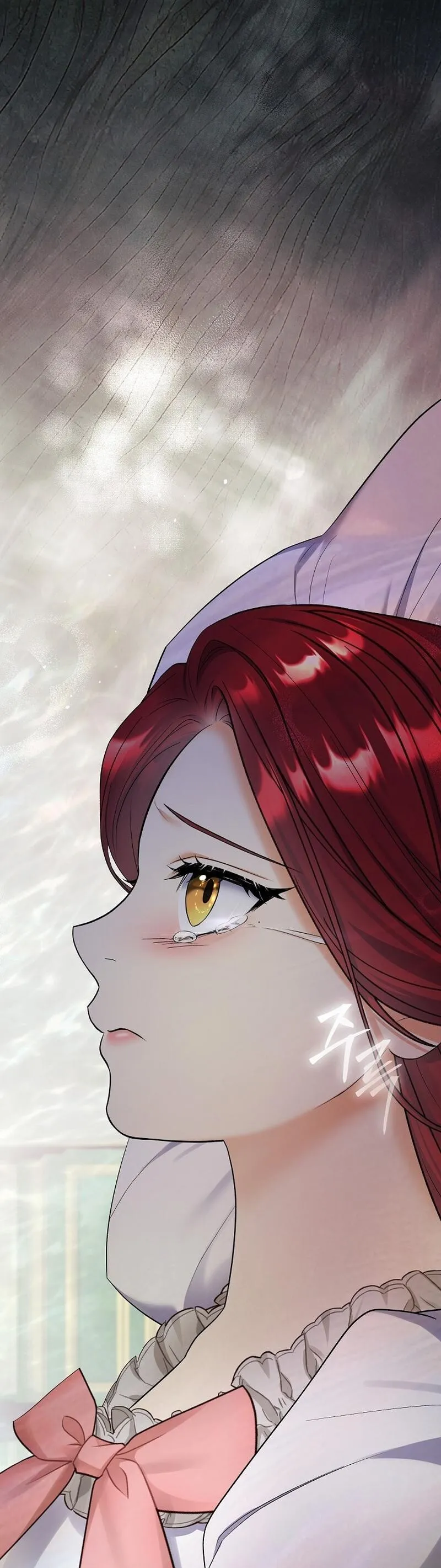 Read Celeb Lady EN Manga Online