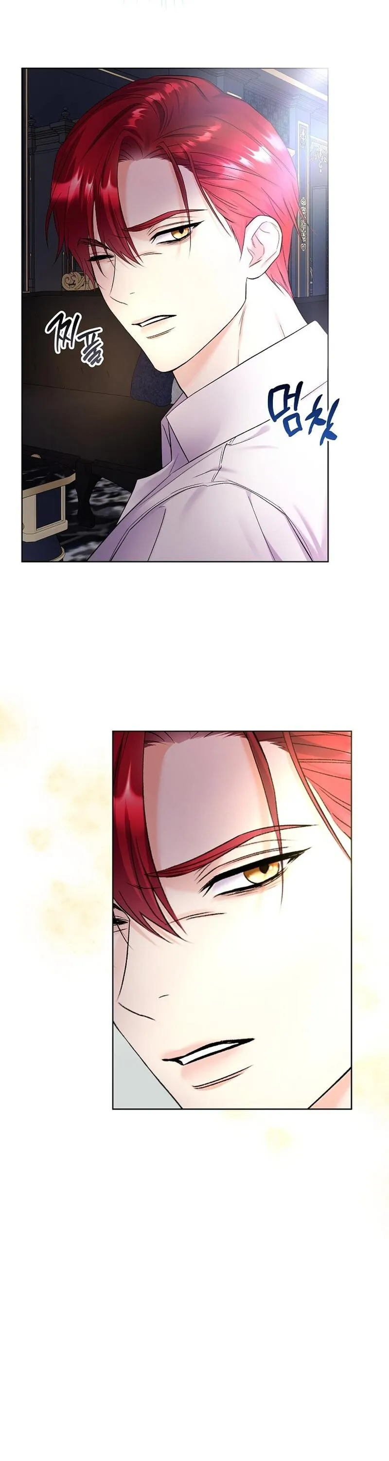 Read Celeb Lady EN Manga Online