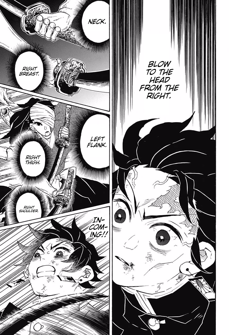 Read Demon Slayer - Kimetsu no Yaiba EN Manga Online