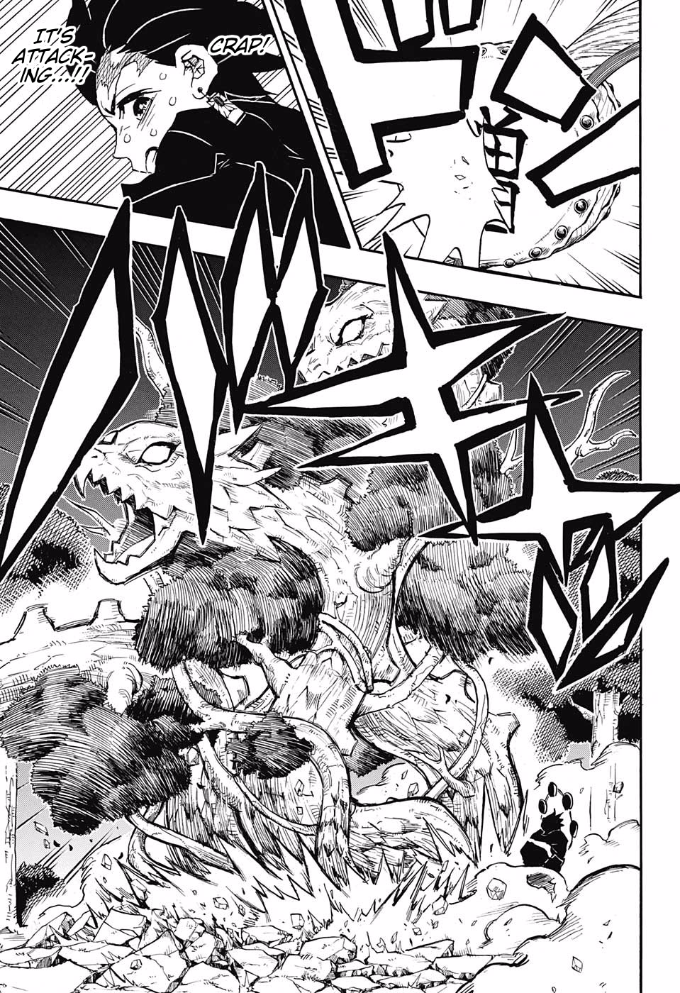 Read Demon Slayer - Kimetsu no Yaiba EN Manga Online