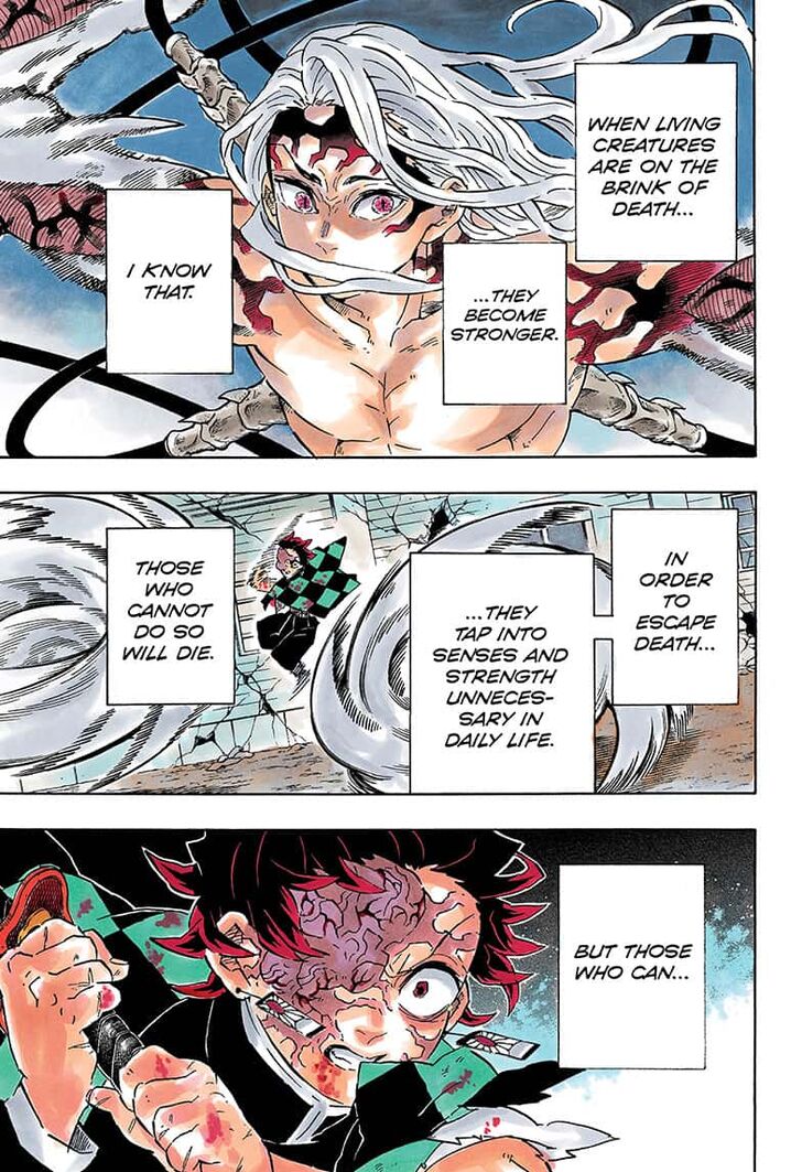 Read Demon Slayer - Kimetsu no Yaiba EN Manga Online