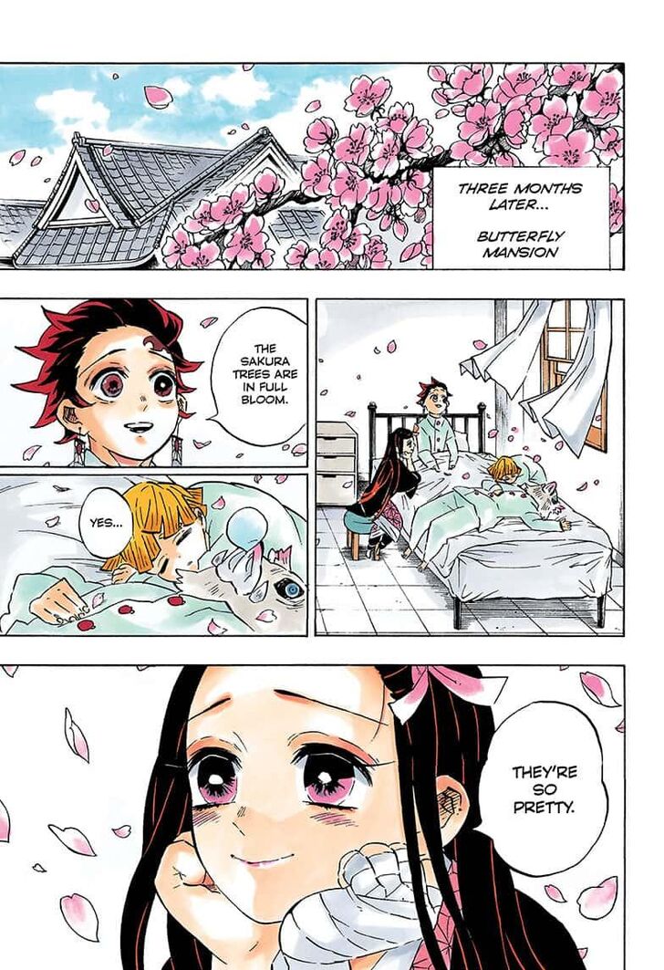 Read Demon Slayer - Kimetsu no Yaiba EN Manga Online